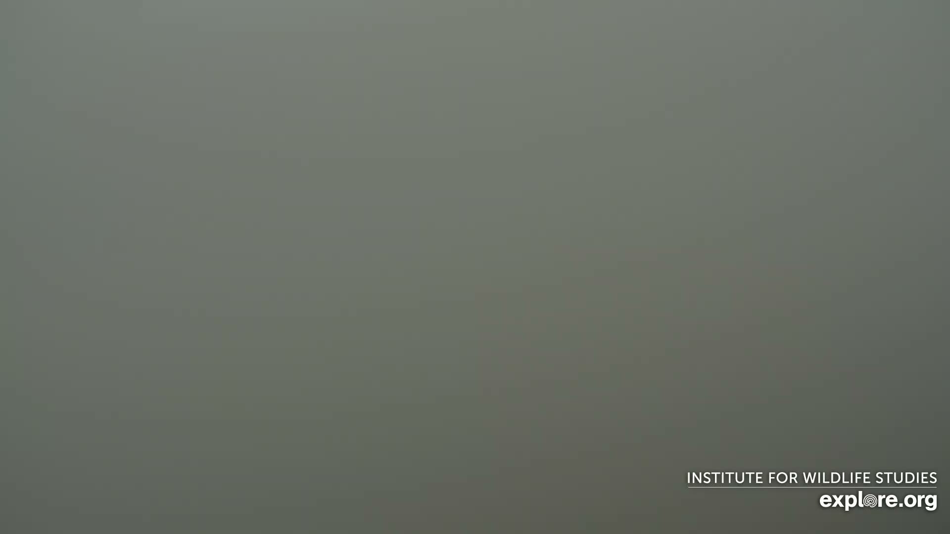 Santa Paula, Channel Islands & Pasific View from Santa Paula Peak & Last Change Trail Live Cam - Santa Paula, Ventura, California, USA