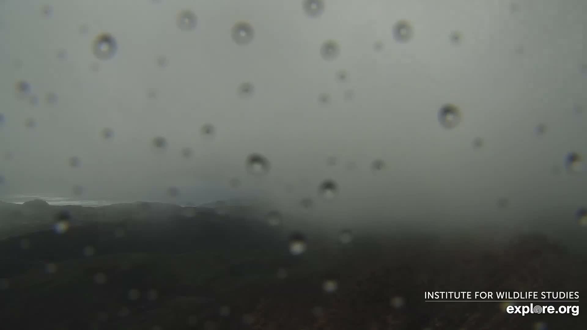 Santa Paula, Channel Islands & Pasific View from Santa Paula Peak & Last Change Trail Live Cam - Santa Paula, Ventura, California, USA
