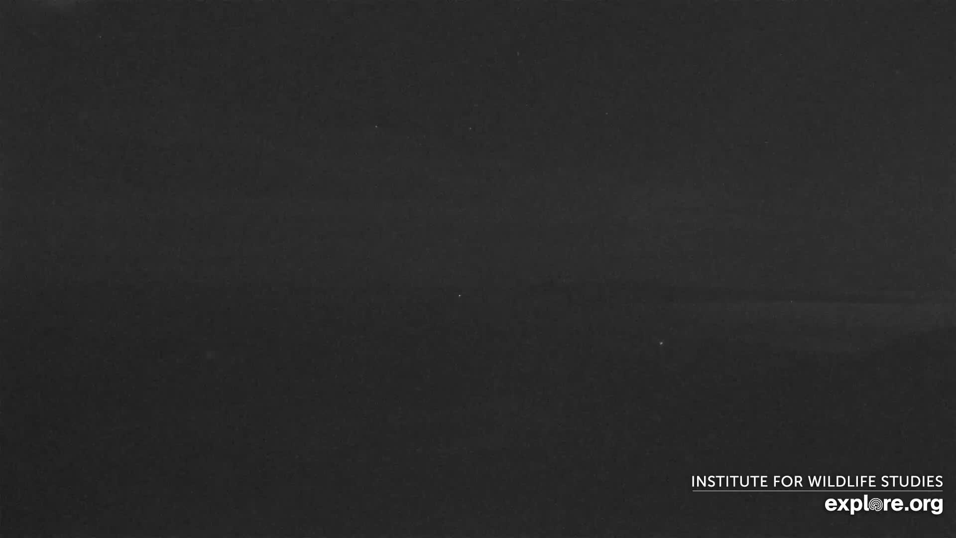Santa Paula, Channel Islands & Pasific View from Santa Paula Peak & Last Change Trail Live Cam - Santa Paula, Ventura, California, USA