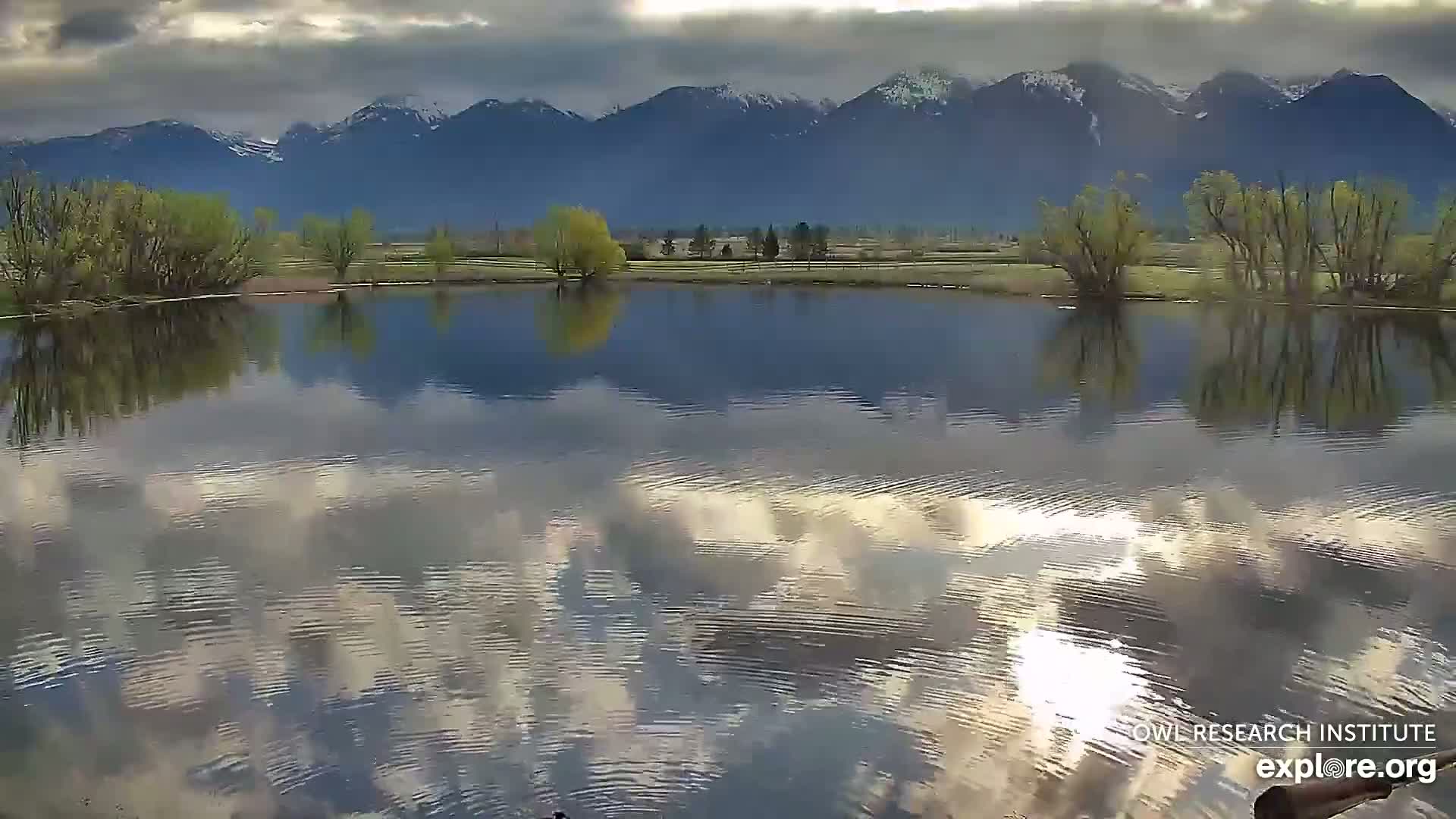 A calm body of water reflects a cloudy sky and snow-capped mountains in the distance, with green trees lining the shore.