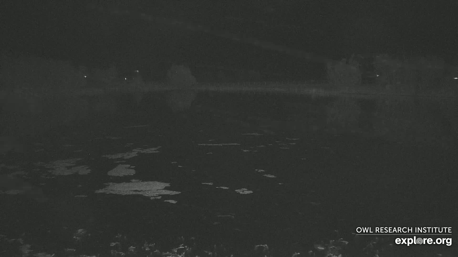 A dark, nighttime view of a body of water with a slightly textured surface, under a cloudy sky.