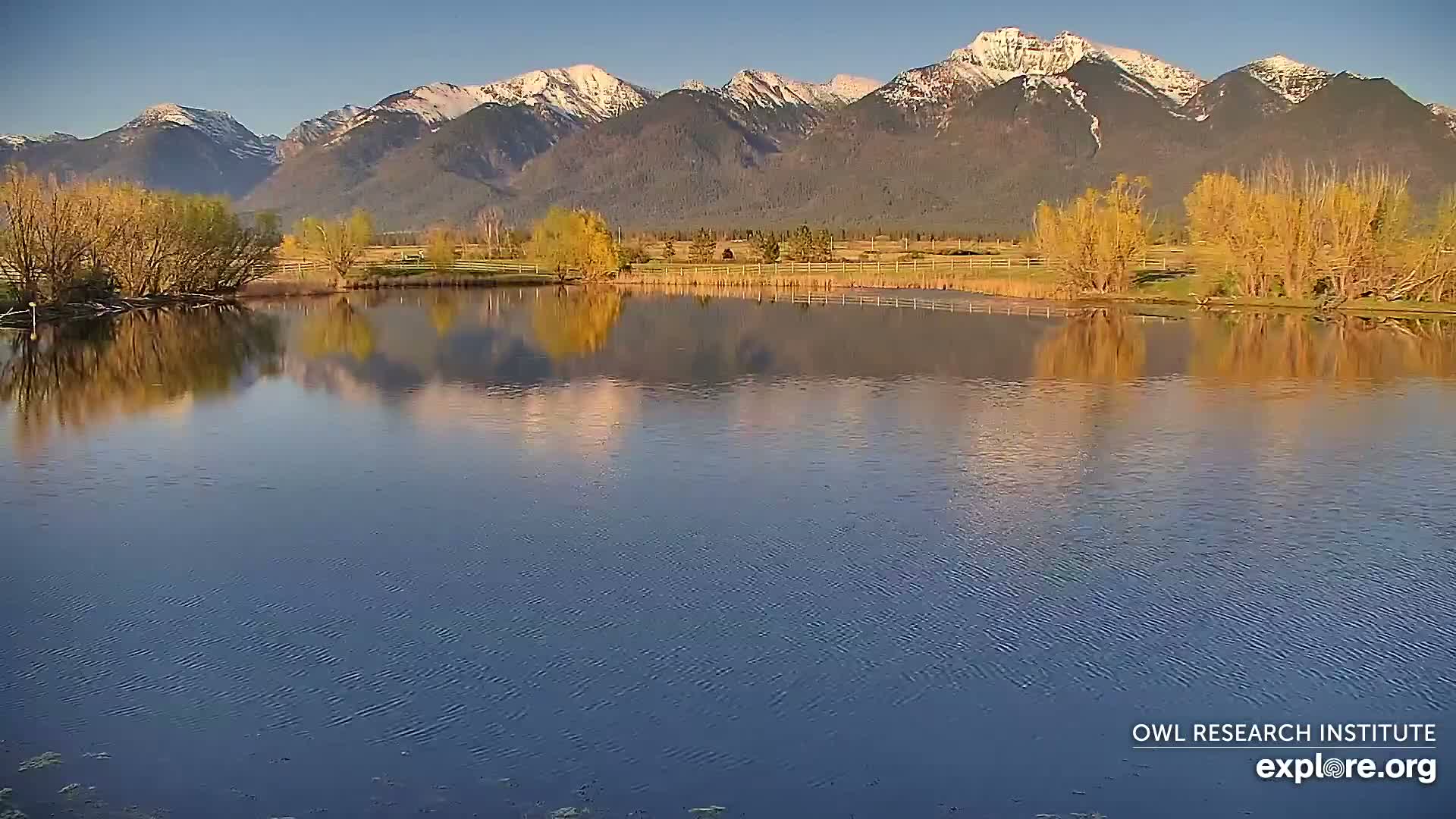 A calm lake reflects snow-capped mountains under a clear sky, with yellow-leafed trees lining the shore.