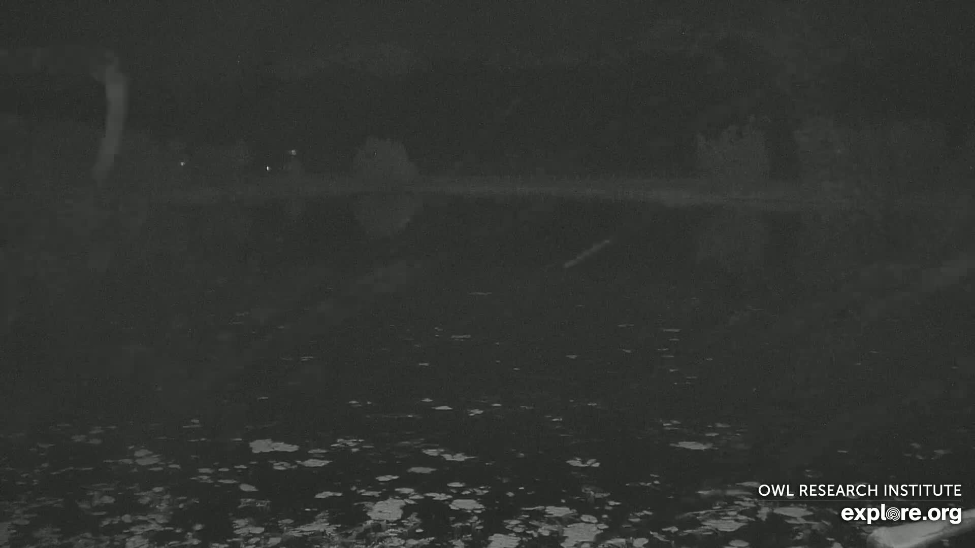 A dark, still body of water is visible at night, with a distant shoreline and a few faint lights.