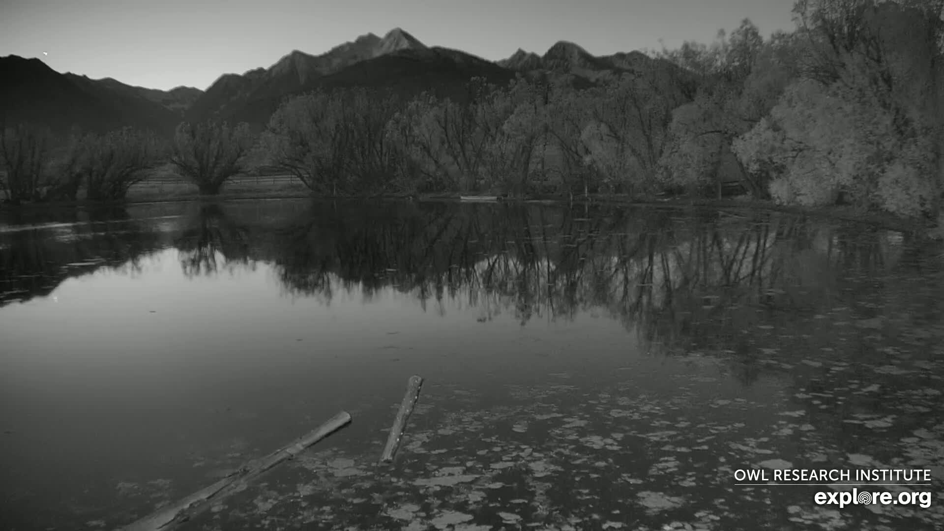 A calm, reflective body of water shows the silhouettes of leafless trees and distant mountains under a dusky sky.