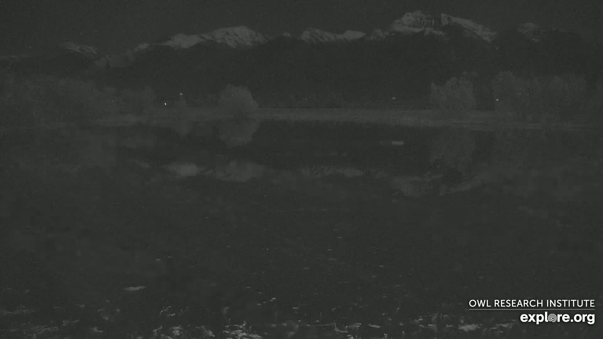A nighttime, low-light view shows a dark, flat landscape with snow-capped mountains in the distance.