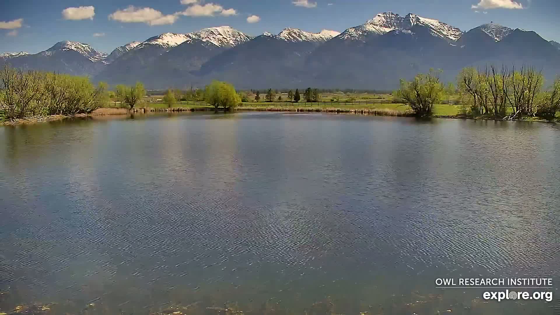 A calm pond reflects a partly cloudy sky and snow-capped mountains in the distance, with green vegetation lining the shore.