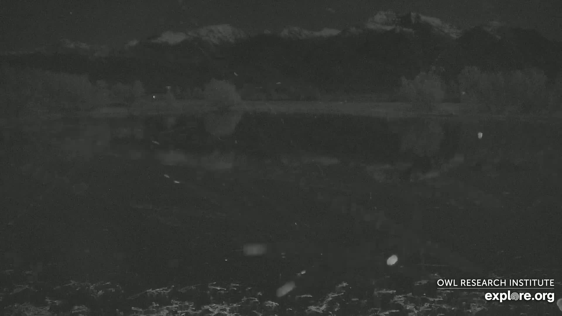 A nighttime, snowy scene shows a dark body of water reflecting a dark mountain range under a dark sky.
