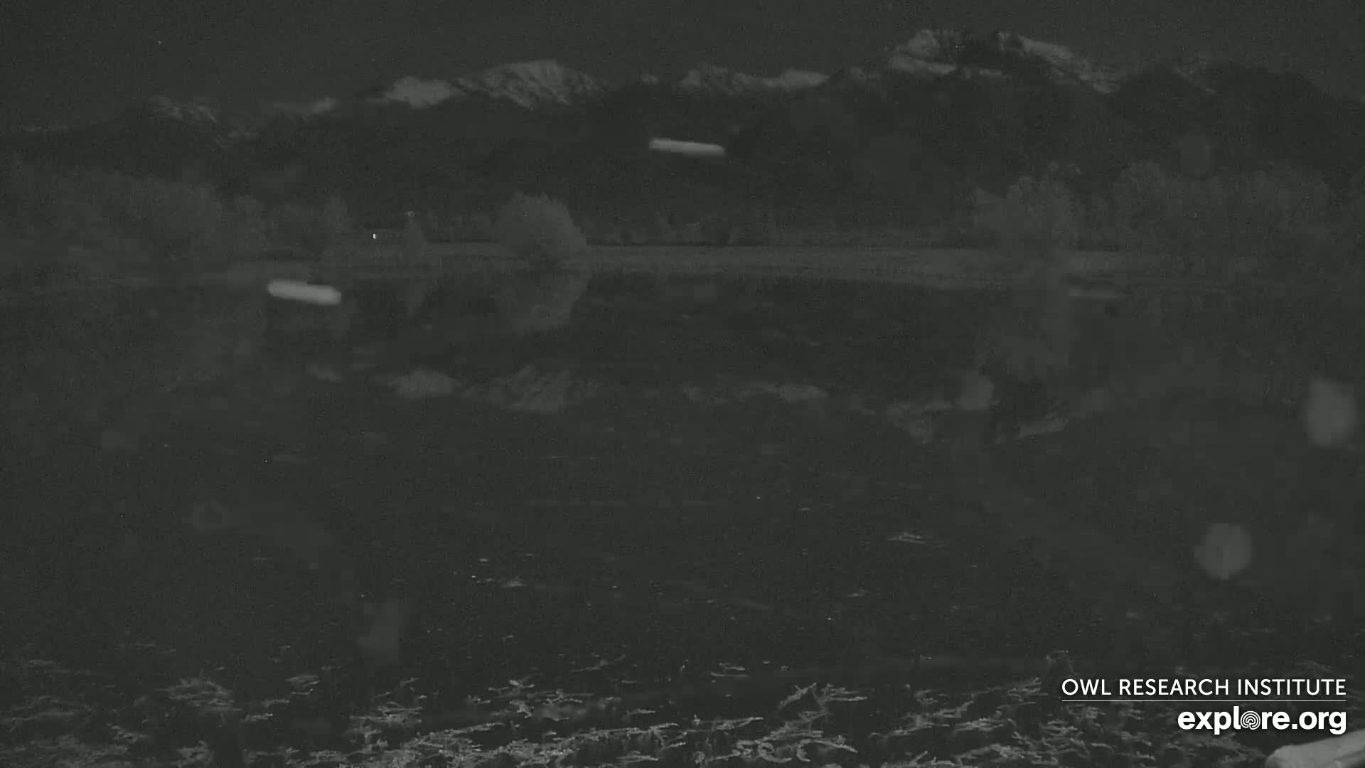 A dark, nighttime view of a body of water with snow falling, reflecting the silhouette of trees and distant mountains under a cloudy sky.