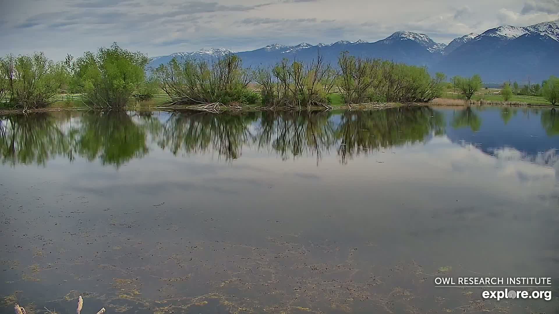 A calm pond reflects the surrounding lush green trees and snow-capped mountains under a cloudy sky.