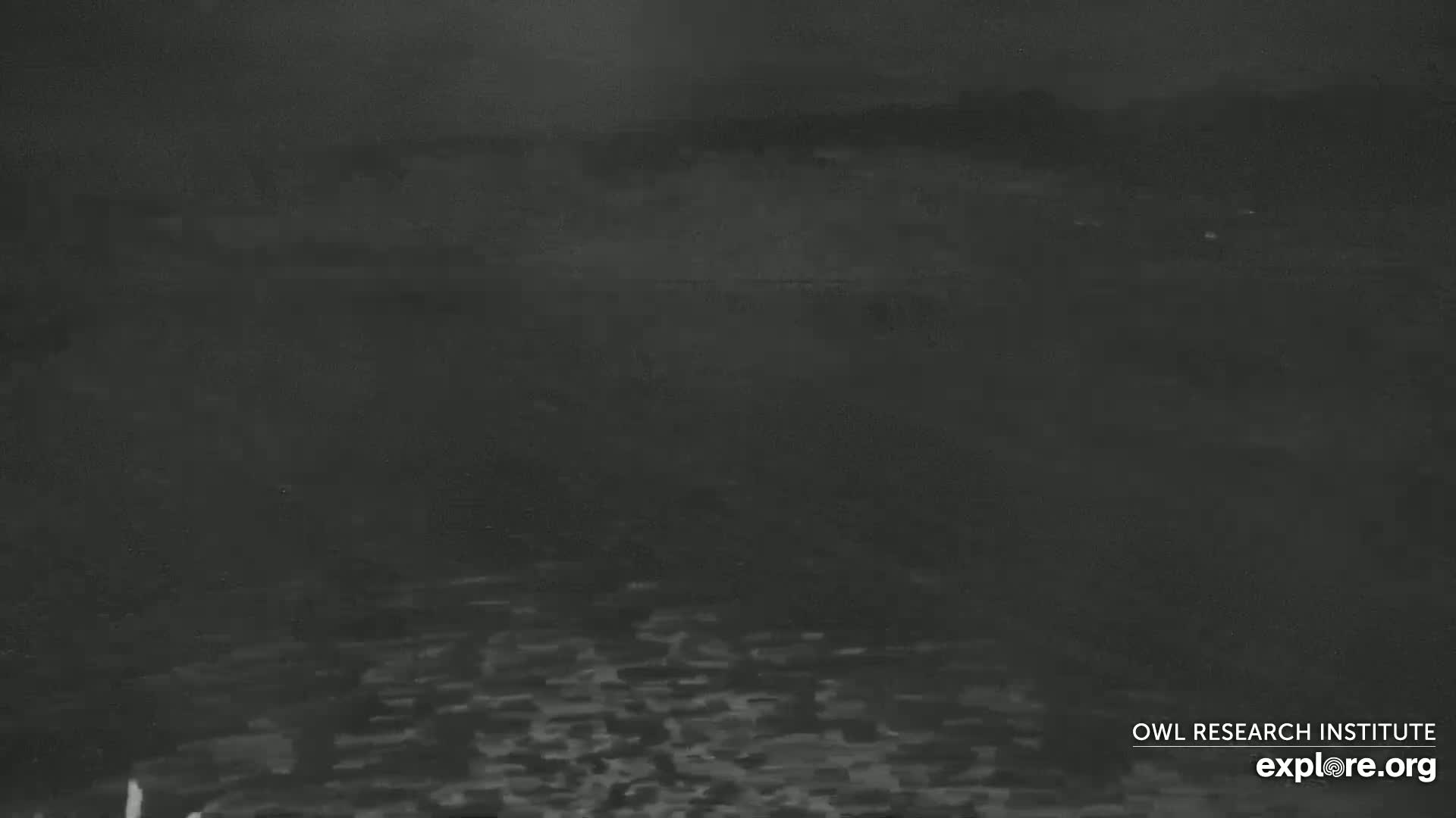 A dark, nighttime view of a body of water with a barely visible shoreline in the distance.