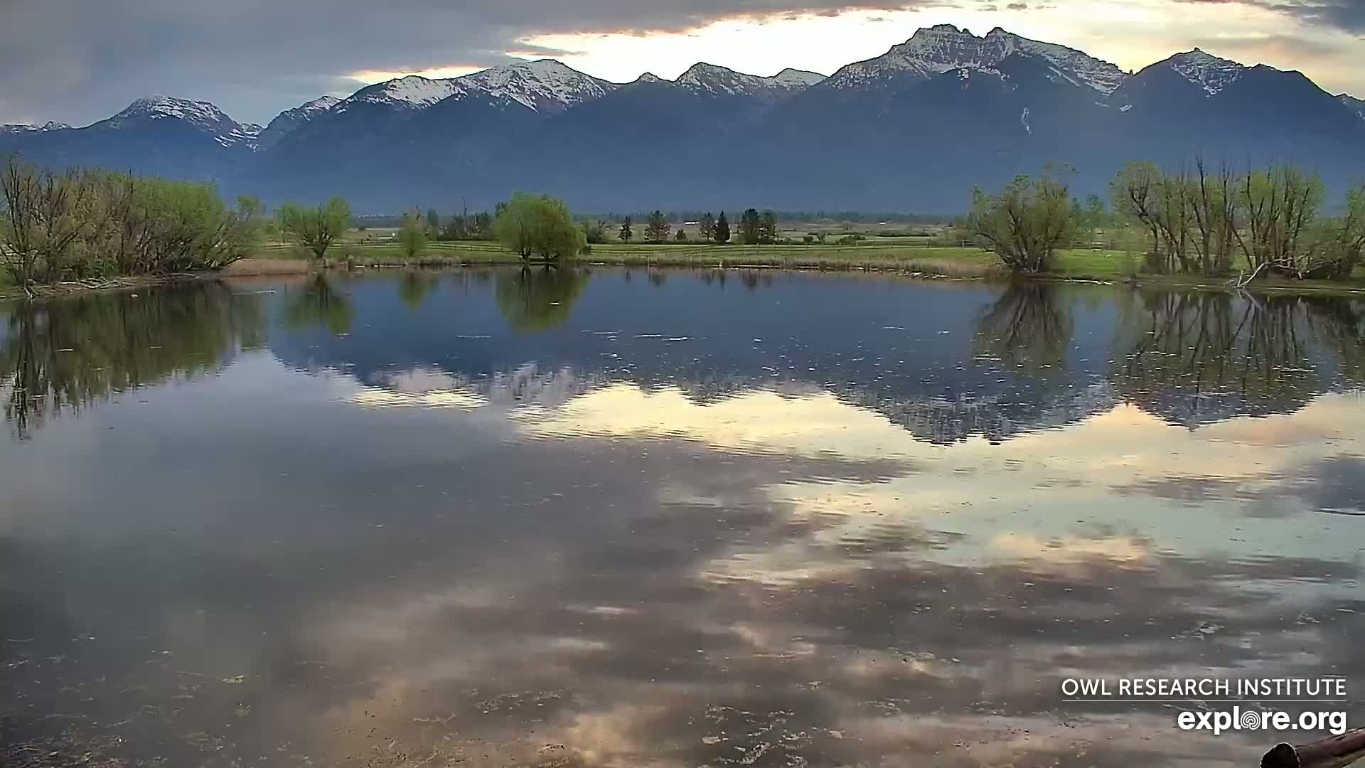 A calm pond reflects a cloudy sunset and snow-capped mountains in the distance.