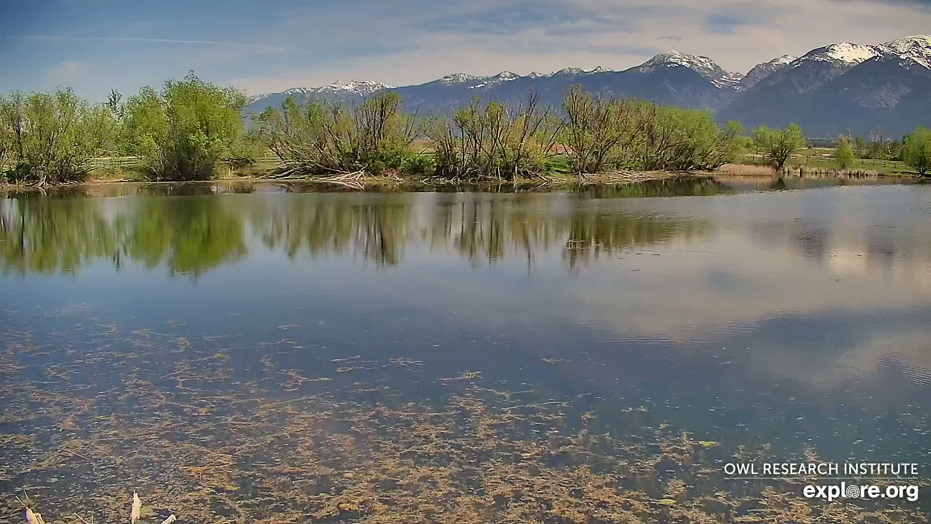 A calm pond reflects the surrounding greenery and snow-capped mountains under a partly cloudy sky.