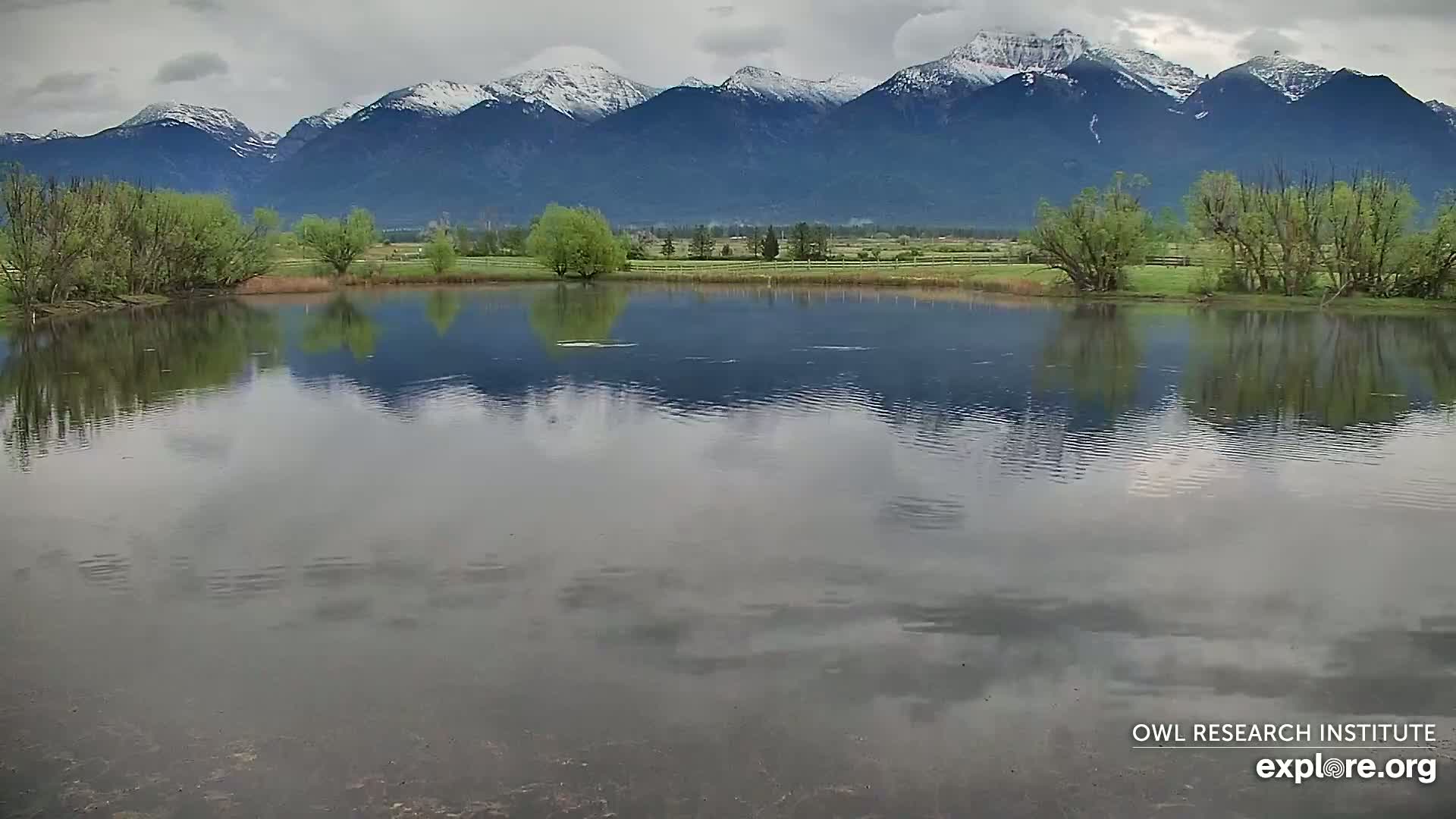 A calm pond reflects a snow-capped mountain range under a cloudy sky, with green vegetation lining the pond's edge.