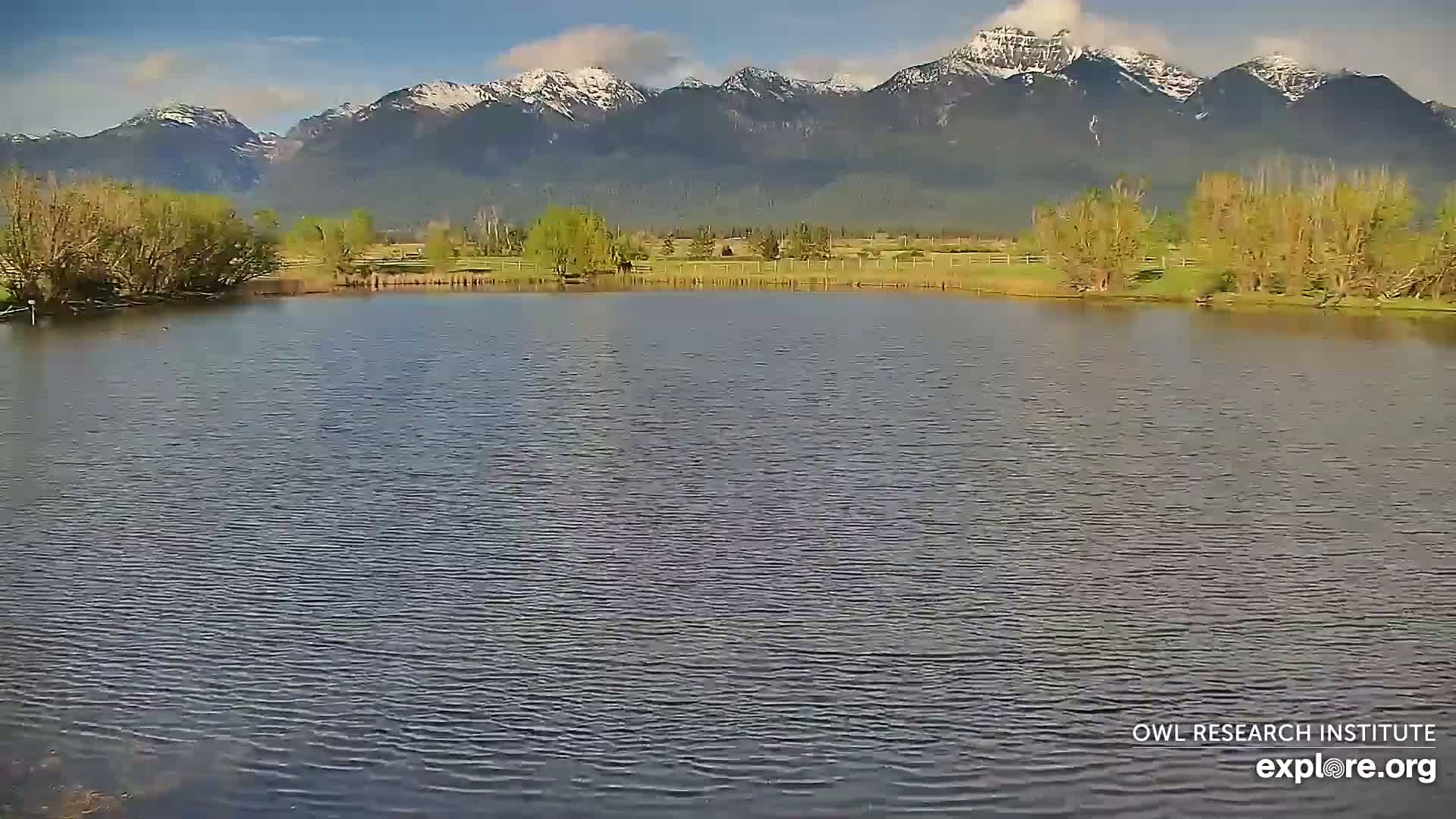 A calm lake with gently rippling water sits in front of a field of budding trees and a snow-capped mountain range under a mostly clear sky.