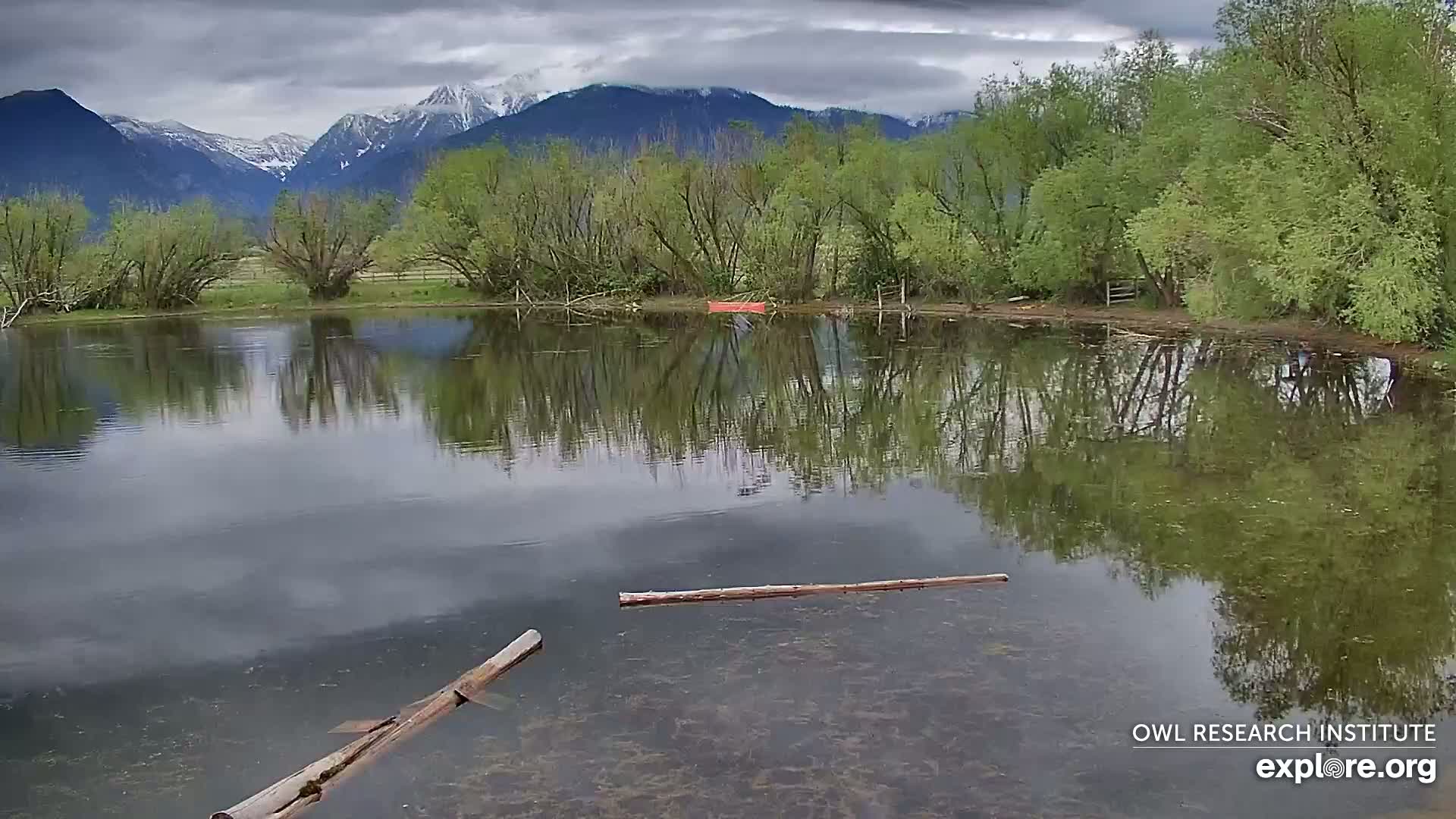 A calm pond reflects a snow-capped mountain range and lush green trees under an overcast sky.