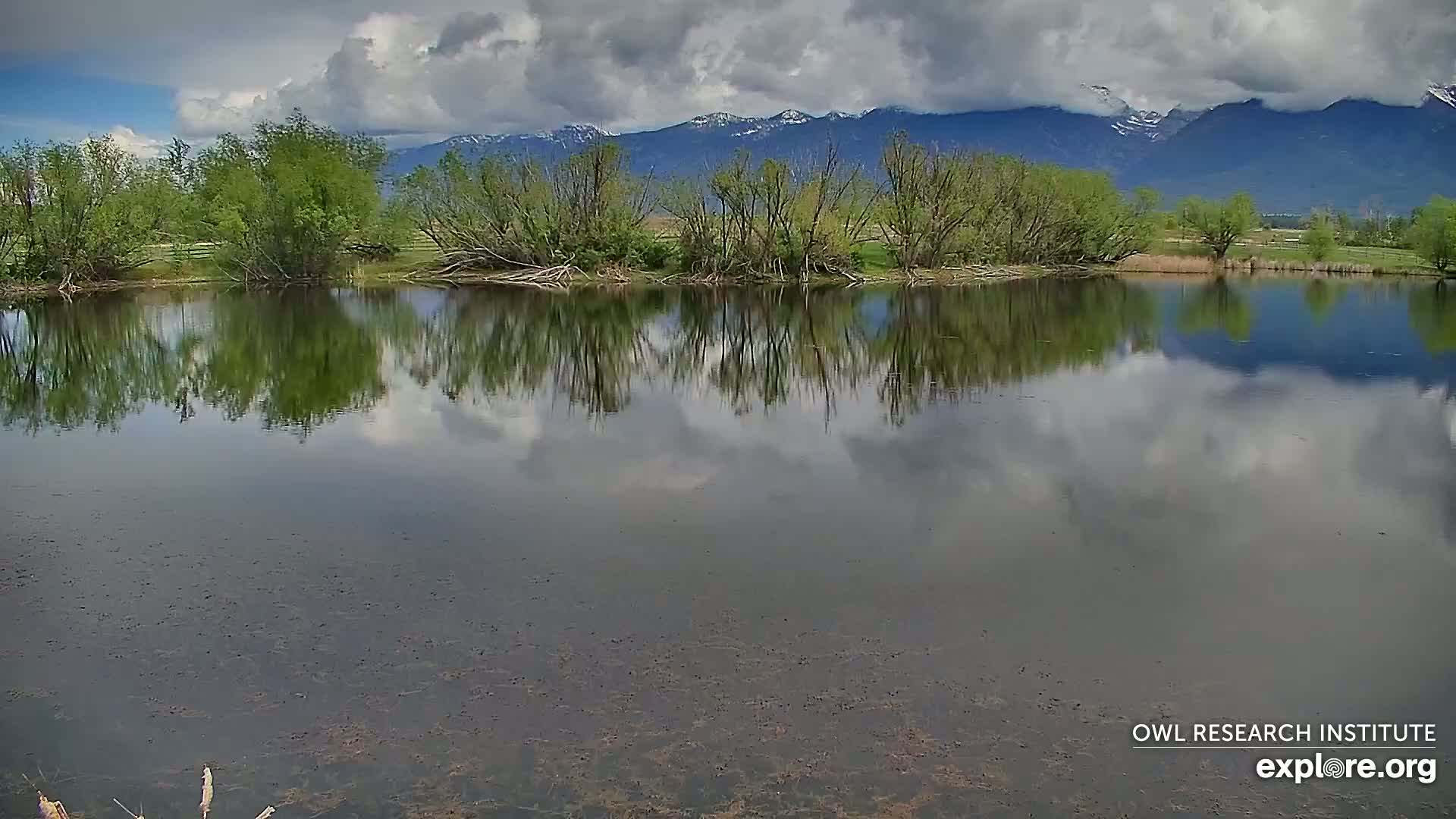 A calm pond reflects a cloudy sky and a line of green trees backed by snow-capped mountains.