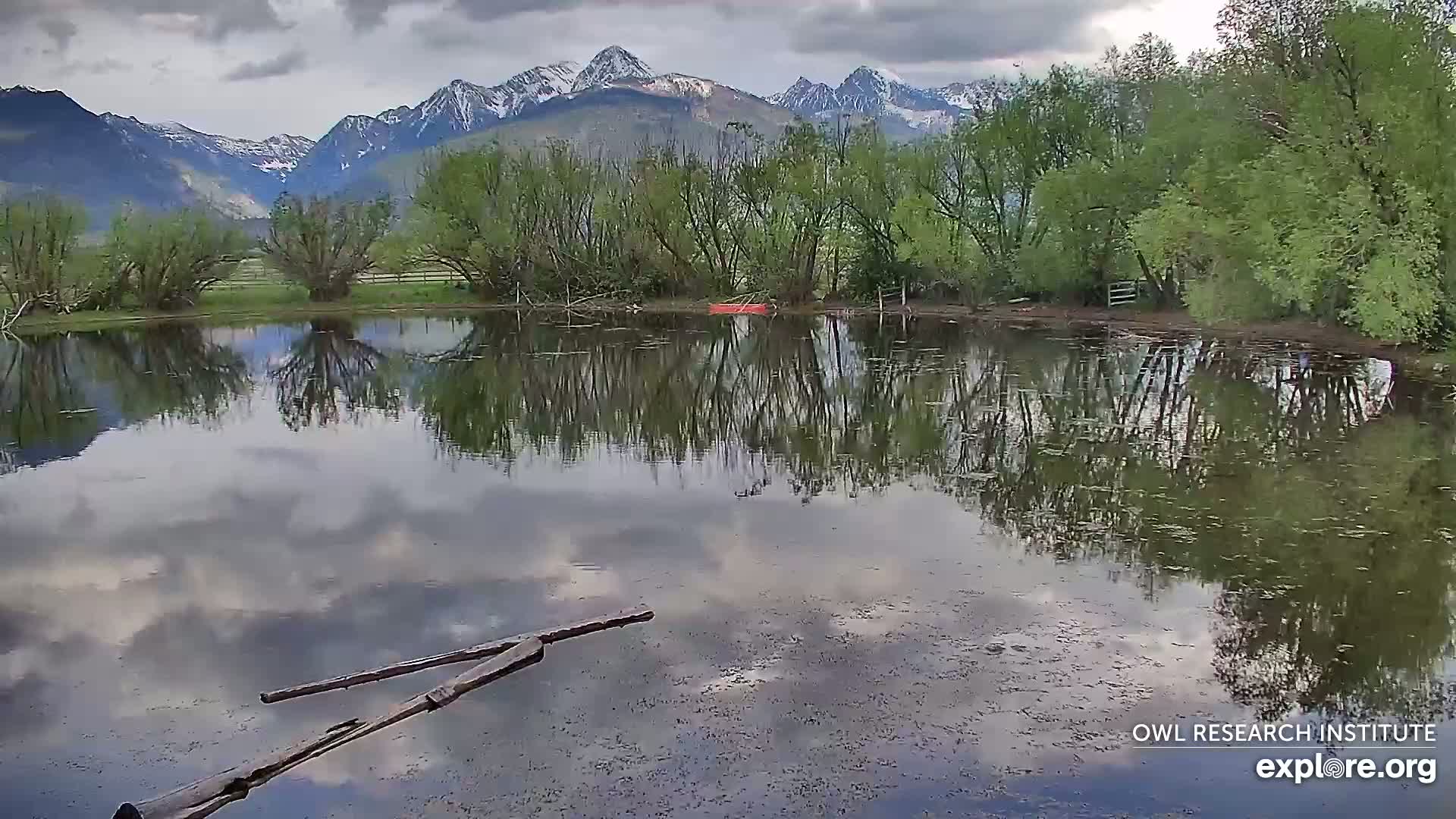 Mission Mountain Range & Mt Calowahcan View from Ninepipe Lodge Wildlife Refuge Live Cam - Charlo, Lake County, Montana, USA