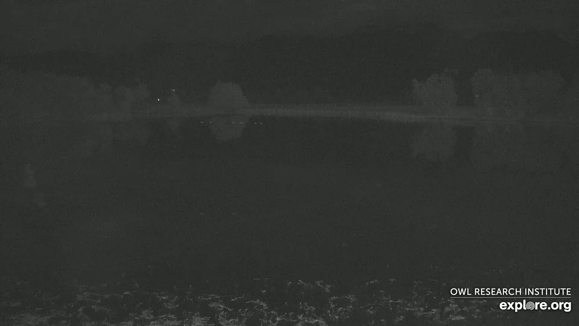 A dark, nighttime scene shows a body of water reflecting a dark shoreline and trees under a cloudy sky.