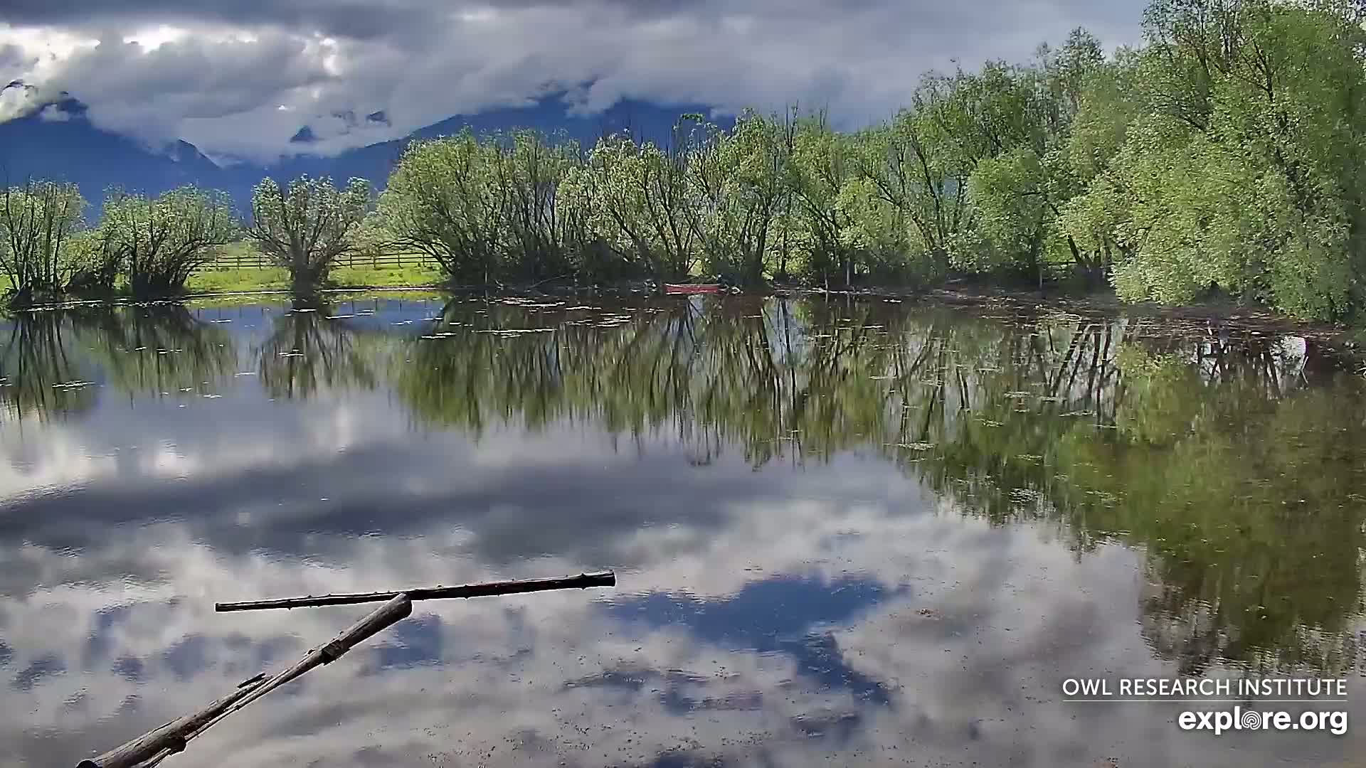 A calm pond reflects a cloudy sky and lush green trees under a partly cloudy sky, with mountains visible in the background.