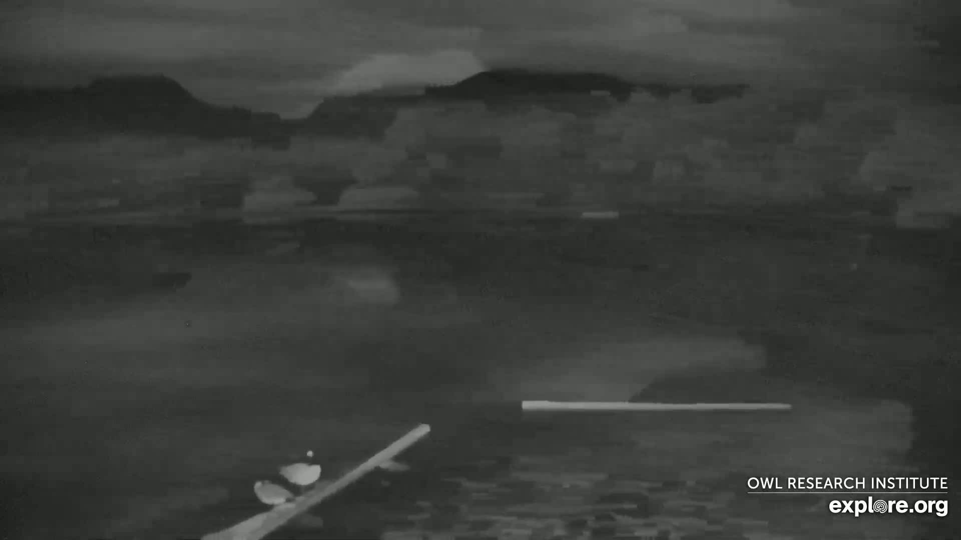Mission Mountain Range & Mt Calowahcan View from Ninepipe Lodge Wildlife Refuge Live Cam - Charlo, Lake County, Montana, USA