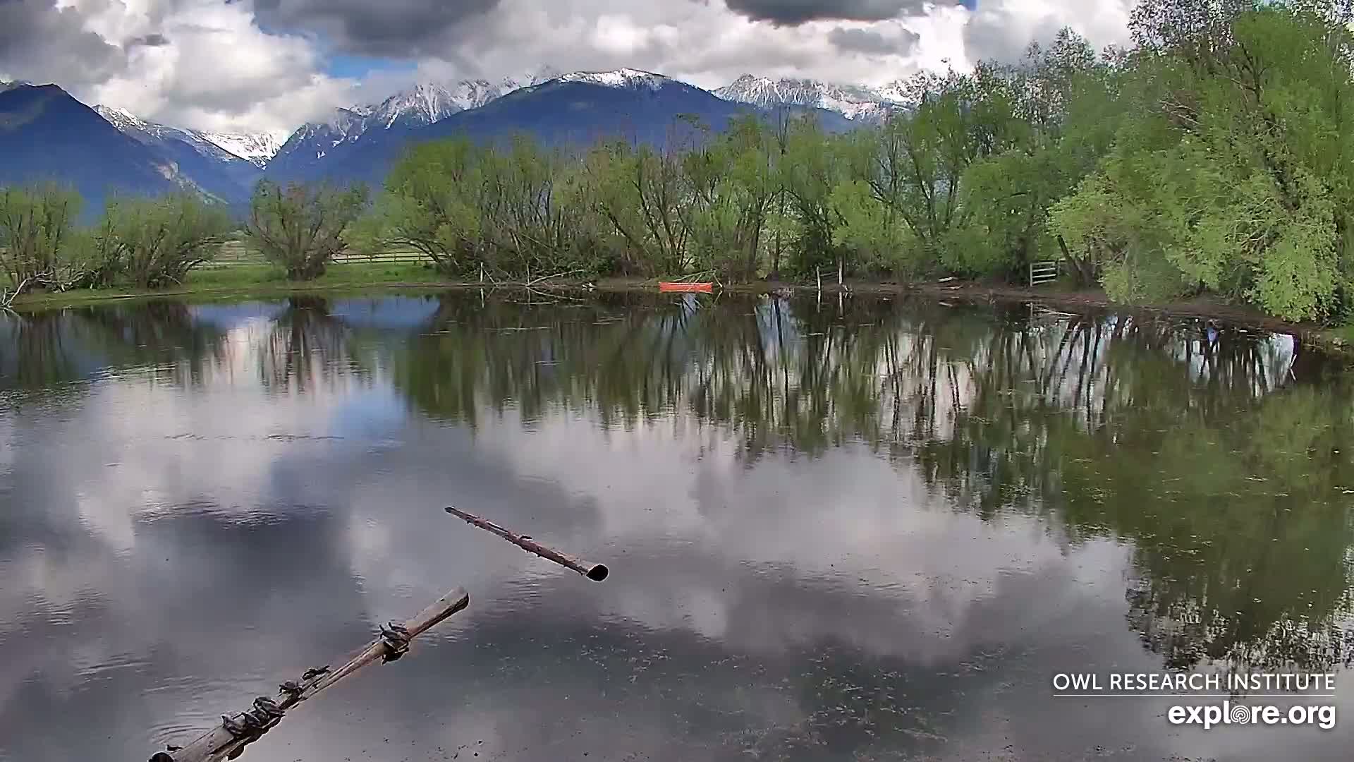 Mission Mountain Range & Mt Calowahcan View from Ninepipe Lodge Wildlife Refuge Live Cam - Charlo, Lake County, Montana, USA