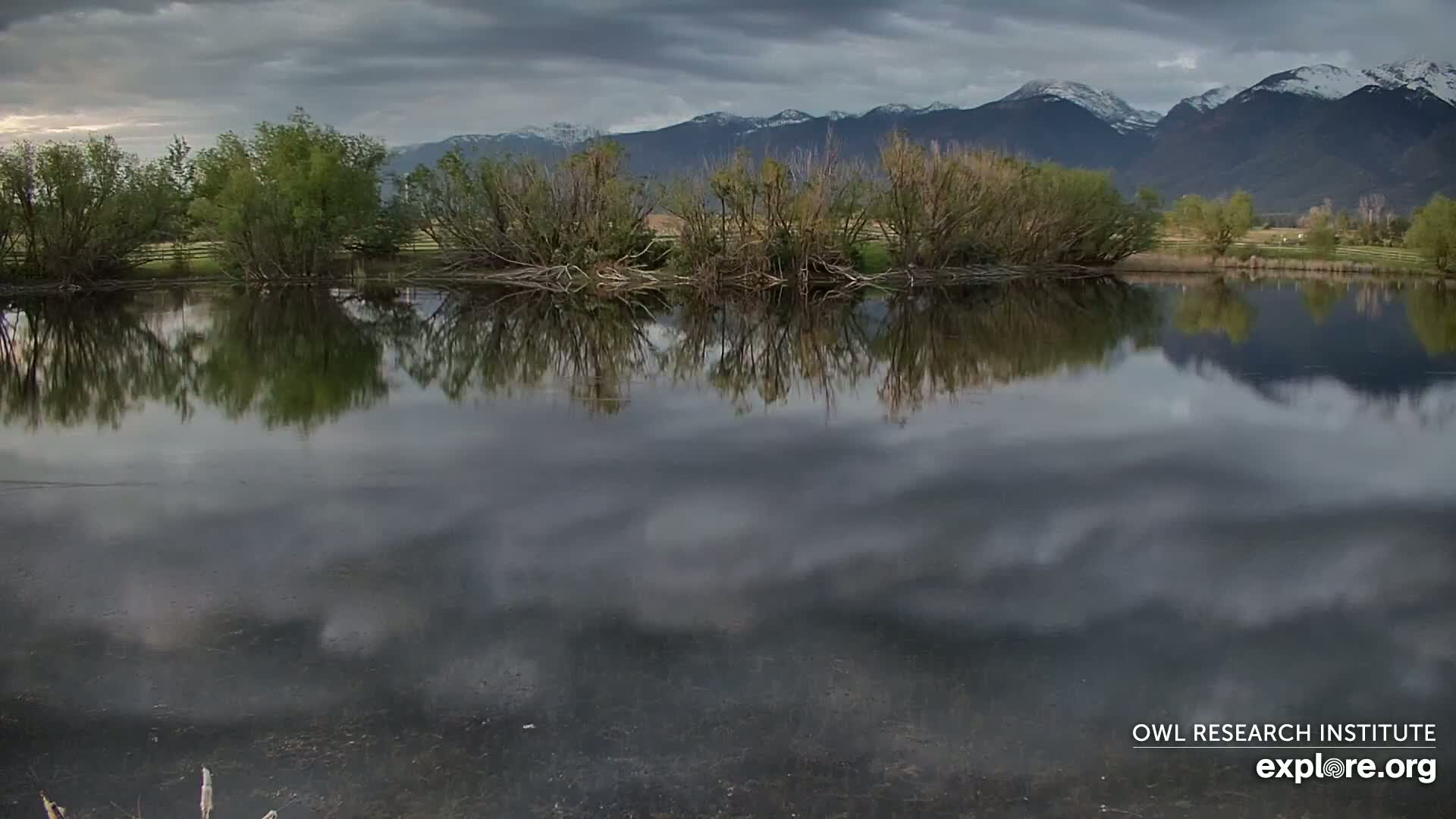Mission Mountain Range & Mt Calowahcan View from Ninepipe Lodge Wildlife Refuge Live Cam - Charlo, Lake County, Montana, USA