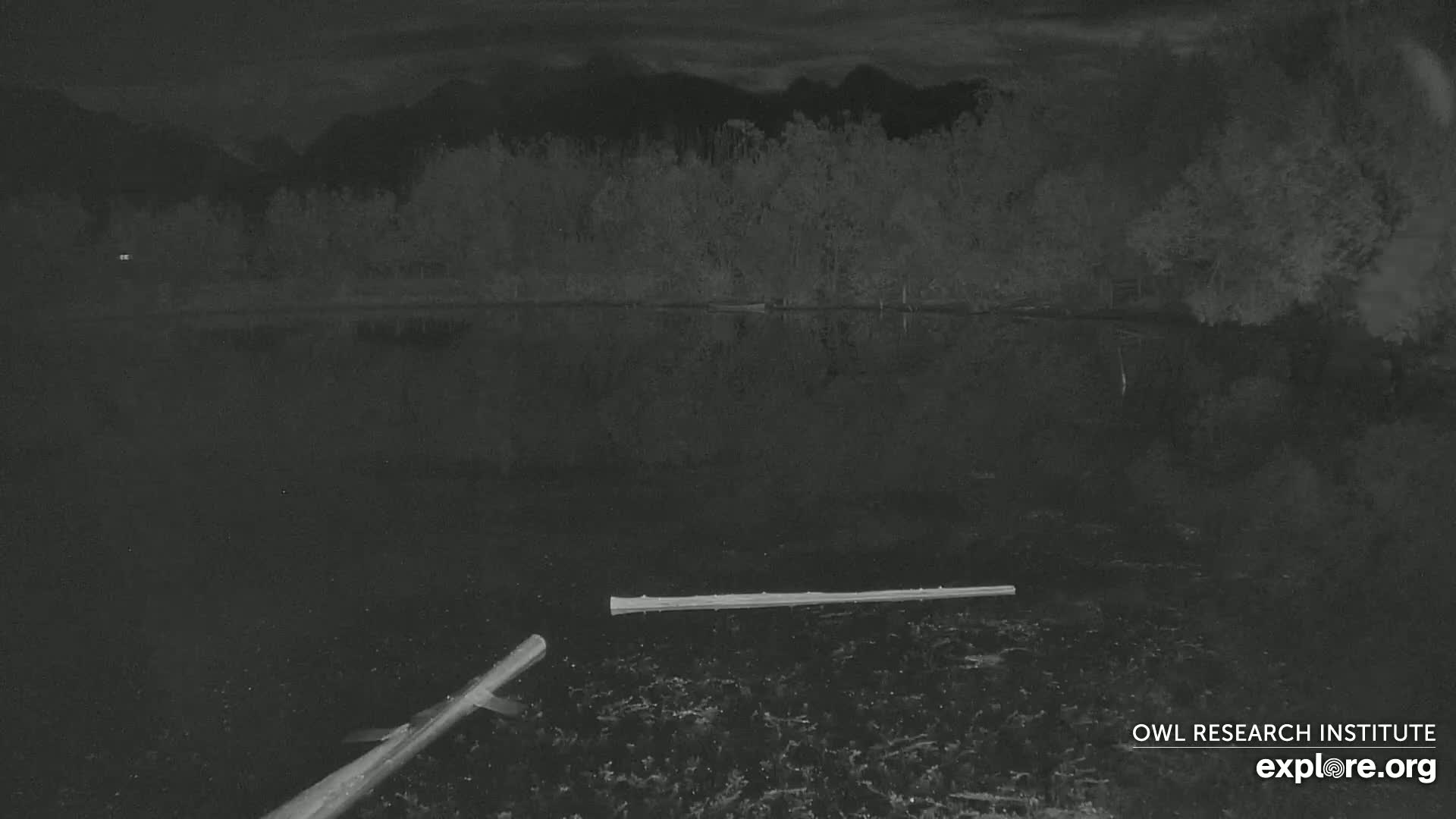 Two logs float in a dark, still body of water under a night sky with mountains in the background.