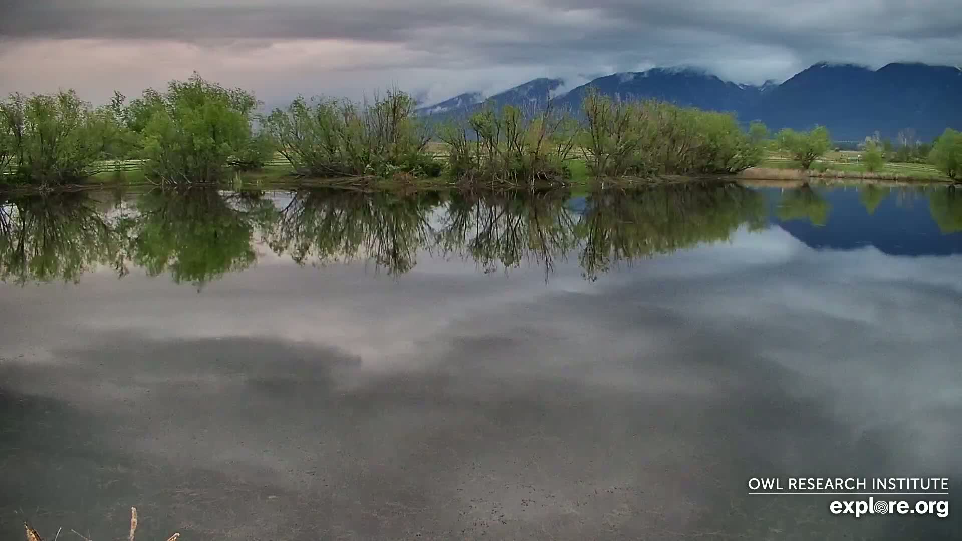 Mission Mountain Range & Mt Calowahcan View from Ninepipe Lodge Wildlife Refuge Live Cam - Charlo, Lake County, Montana, USA