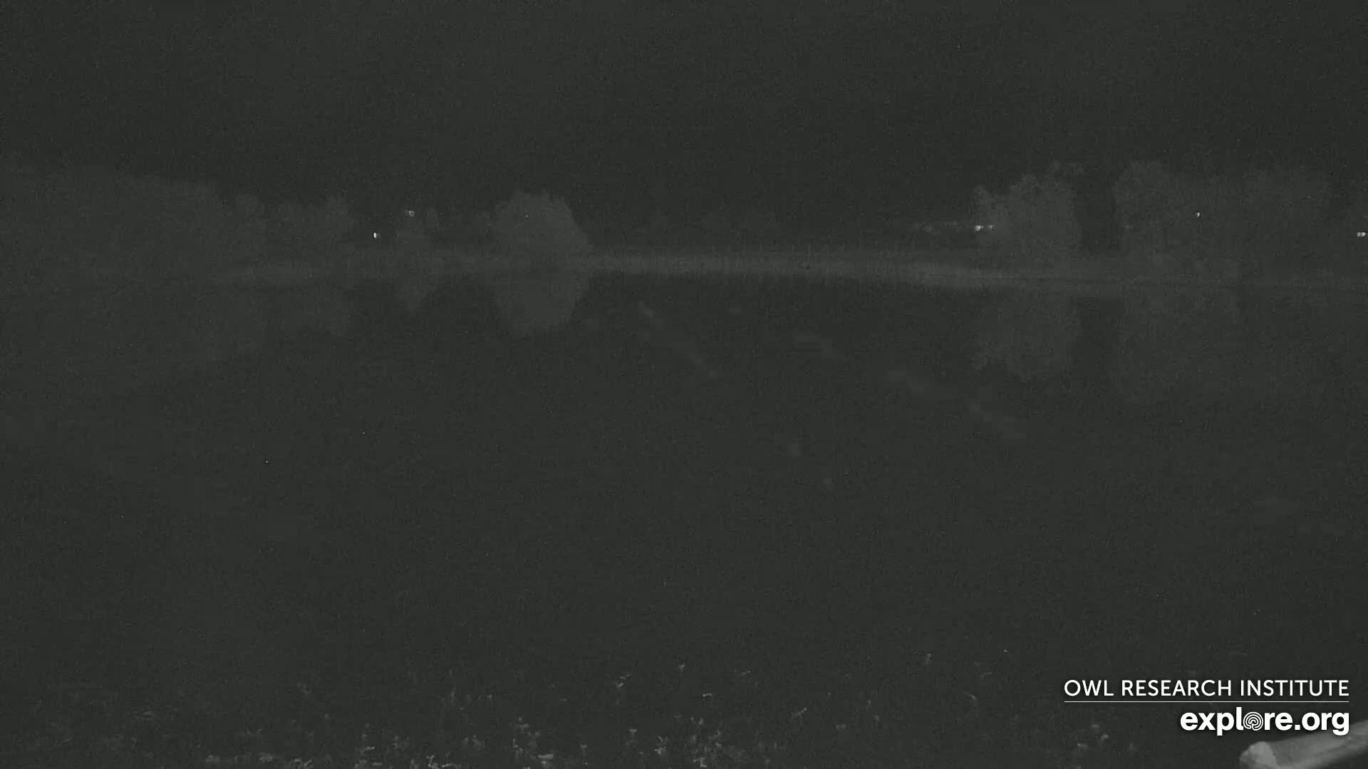 A dark, nighttime view of a body of still water reflecting a dark shoreline under a clear, moonless sky.