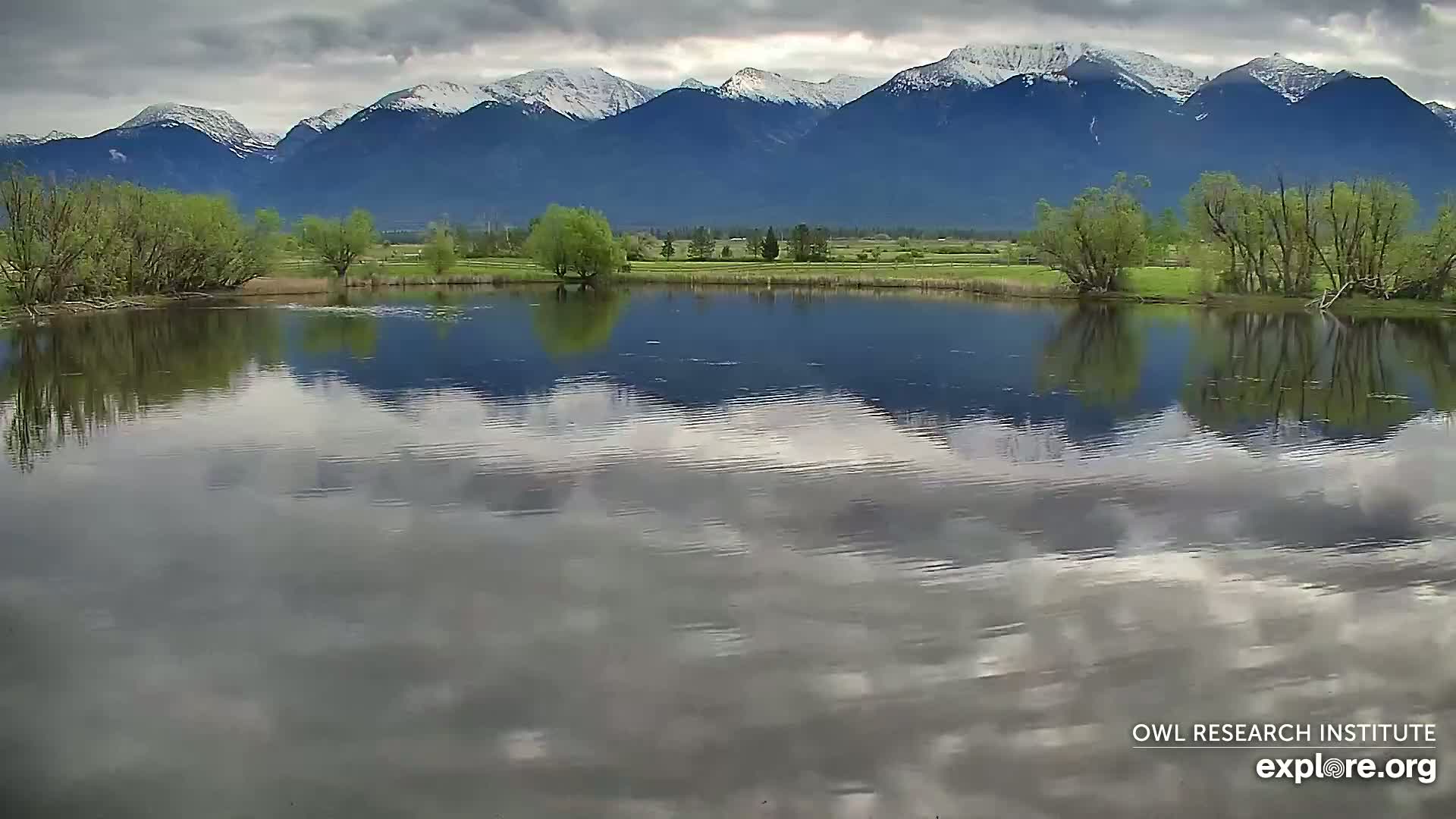 A calm pond reflects a cloudy sky and snow-capped mountains under an overcast sky.