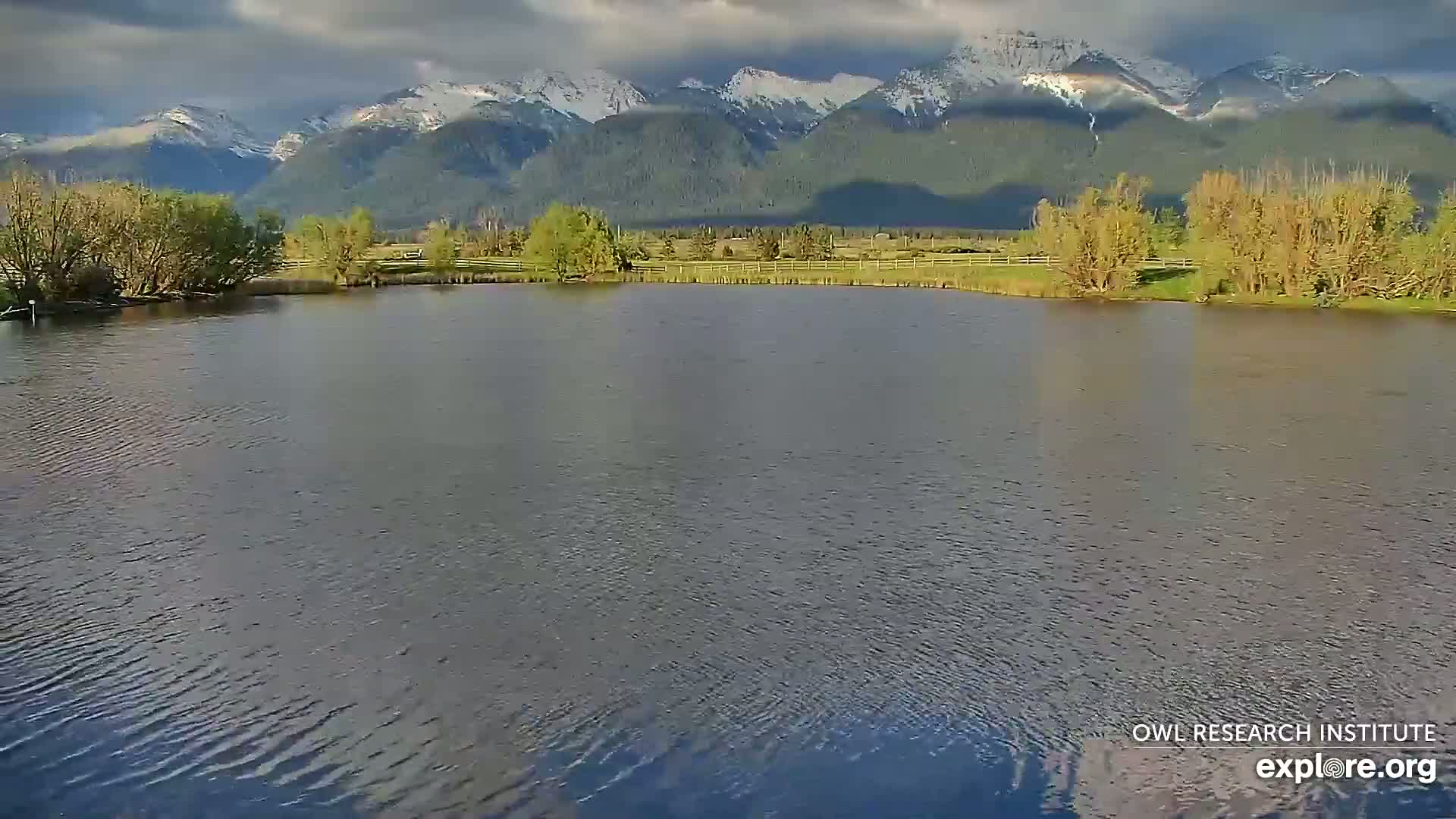 Mission Mountain Range & Mt Calowahcan View from Ninepipe Lodge Wildlife Refuge Live Cam - Charlo, Lake County, Montana, USA
