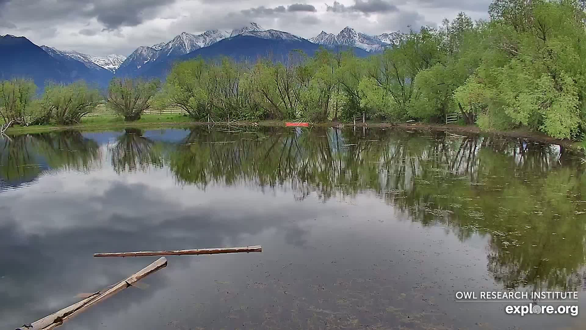 A calm body of water reflects a cloudy sky and snow-capped mountains behind a line of lush green trees.