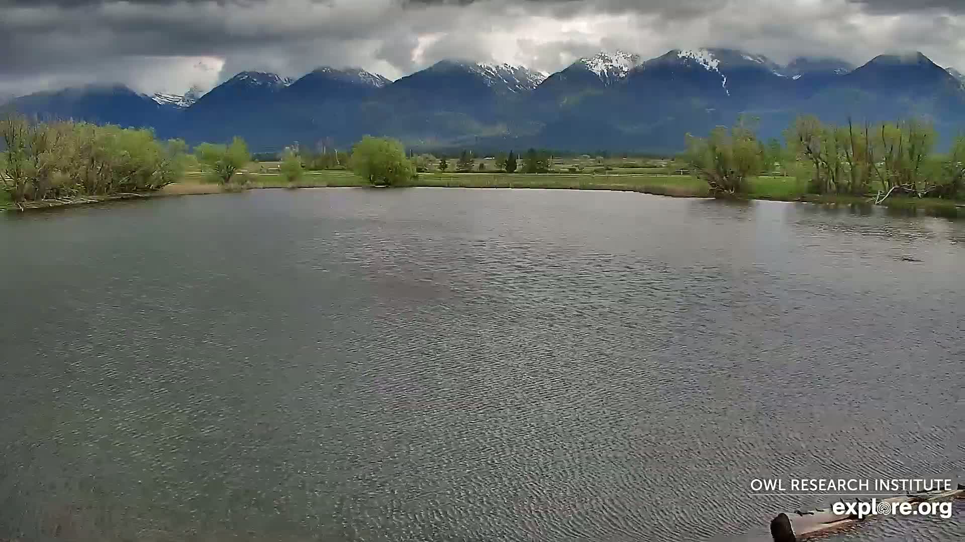 Mission Mountain Range & Mt Calowahcan View from Ninepipe Lodge Wildlife Refuge Live Cam - Charlo, Lake County, Montana, USA