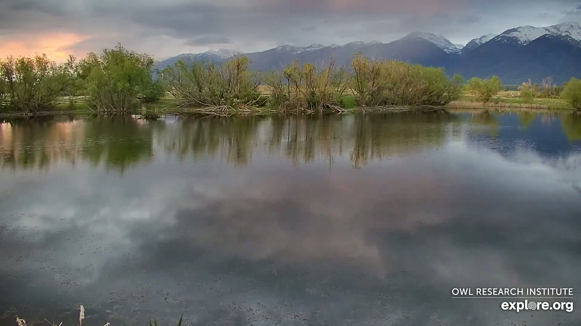 Mission Mountain Range & Mt Calowahcan View from Ninepipe Lodge Wildlife Refuge Live Cam - Charlo, Lake County, Montana, USA