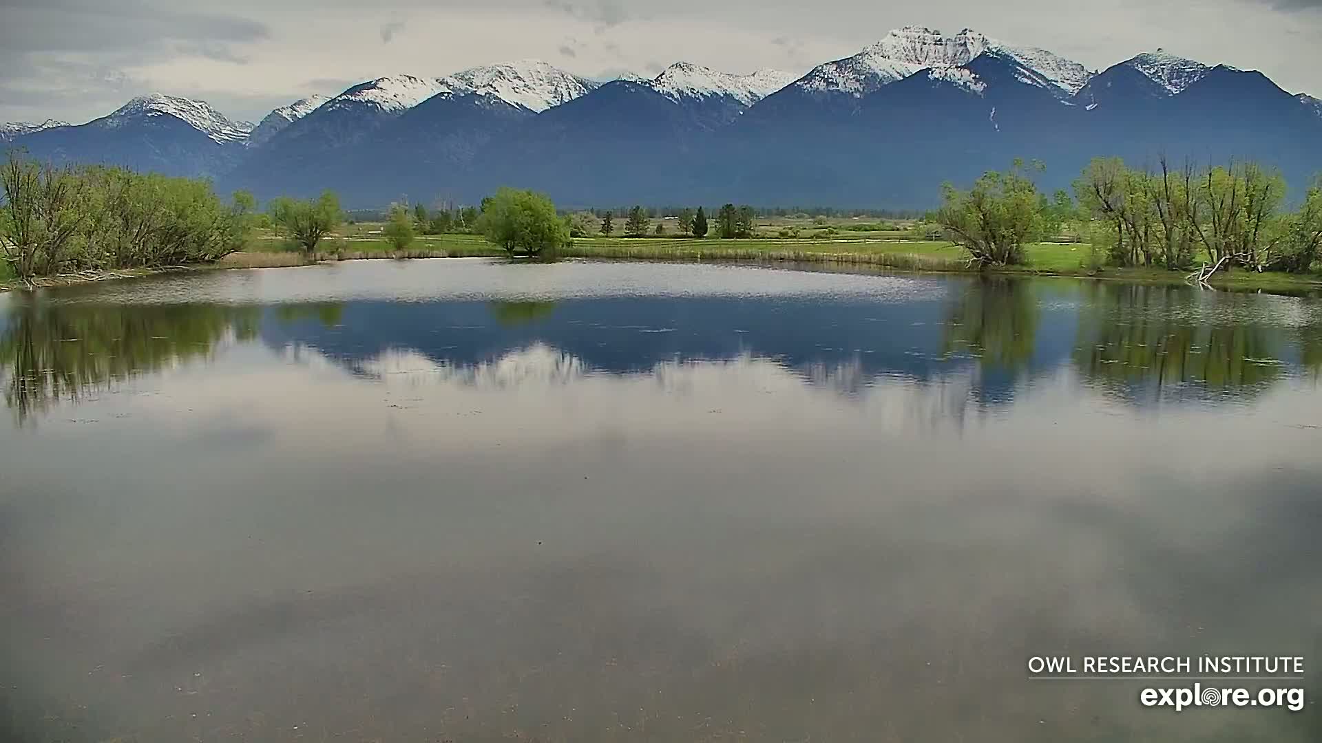 A calm pond reflects a snow-capped mountain range under an overcast sky.
