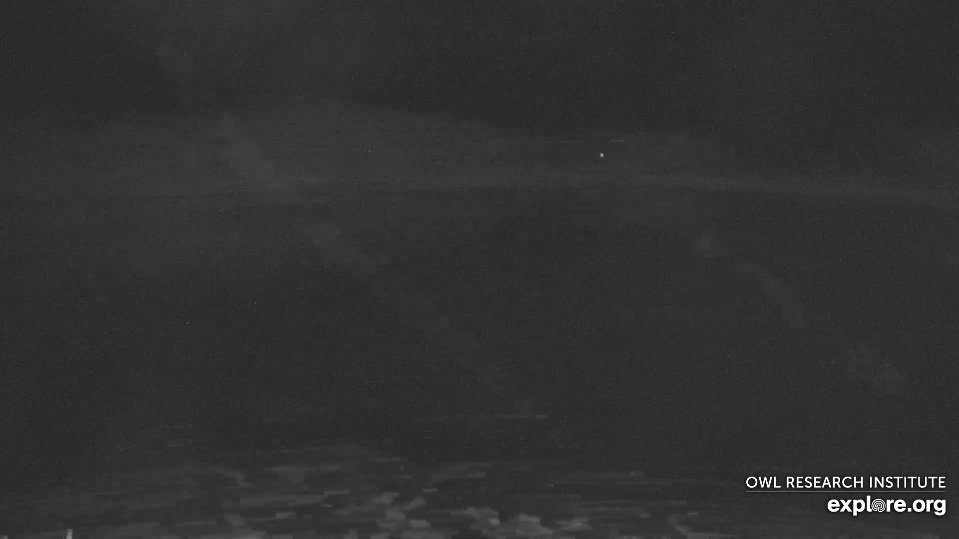 A dark, nighttime scene shows a blurry, indistinct landscape under a cloudy sky.