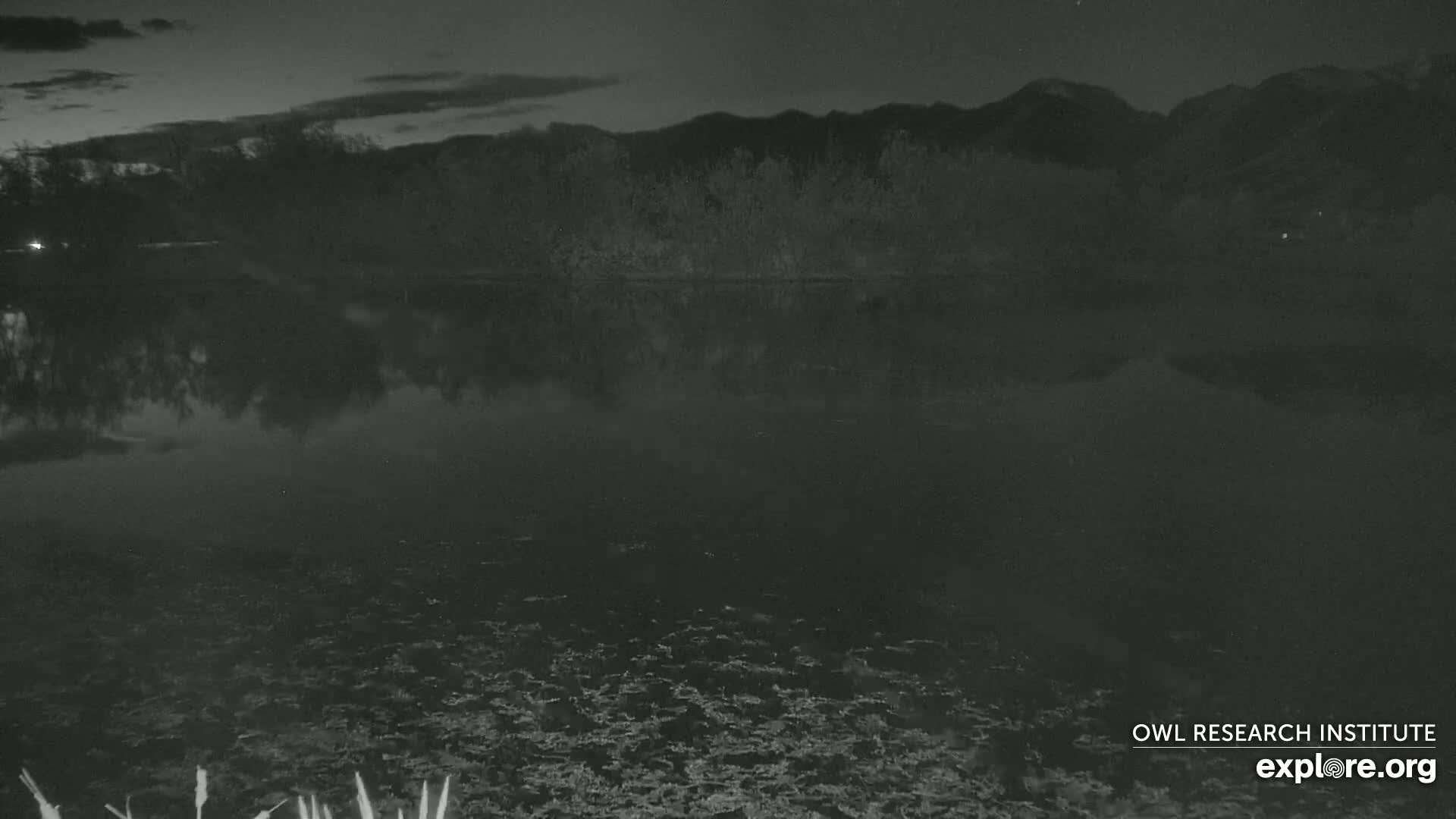 Mission Mountain Range & Mt Calowahcan View from Ninepipe Lodge Wildlife Refuge Live Cam - Charlo, Lake County, Montana, USA