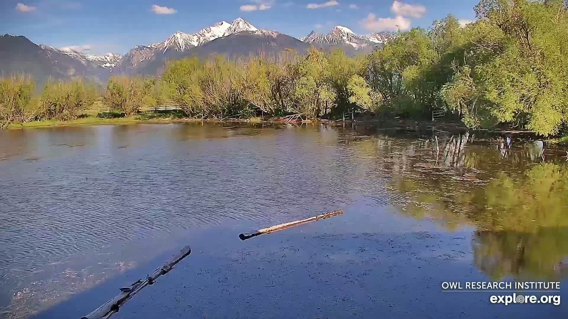 Mission Mountain Range & Mt Calowahcan View from Ninepipe Lodge Wildlife Refuge Live Cam - Charlo, Lake County, Montana, USA