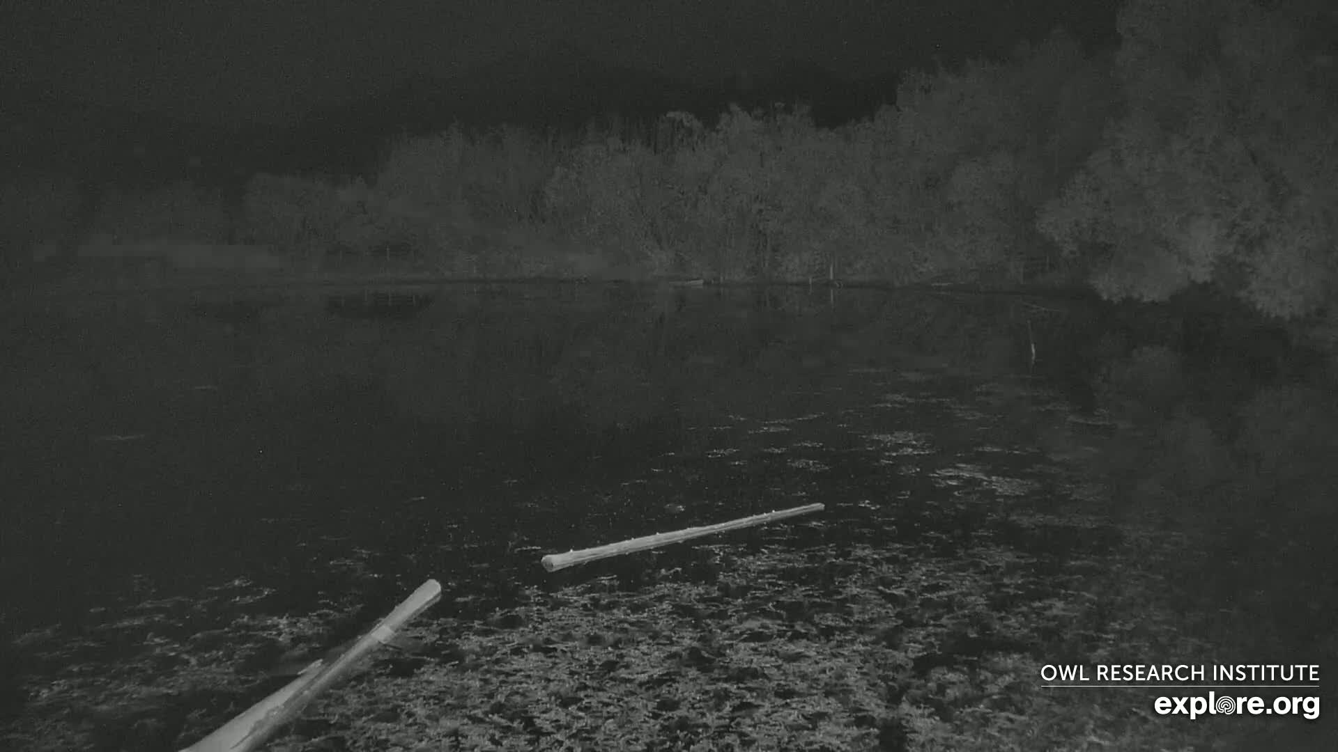 Mission Mountain Range & Mt Calowahcan View from Ninepipe Lodge Wildlife Refuge Live Cam - Charlo, Lake County, Montana, USA