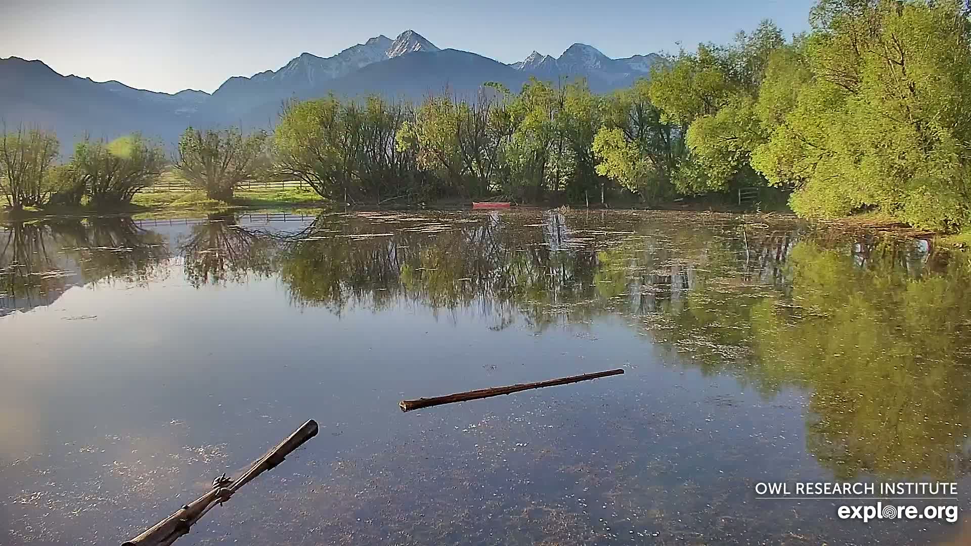 Calm water reflects trees and mountains under a clear sky.
