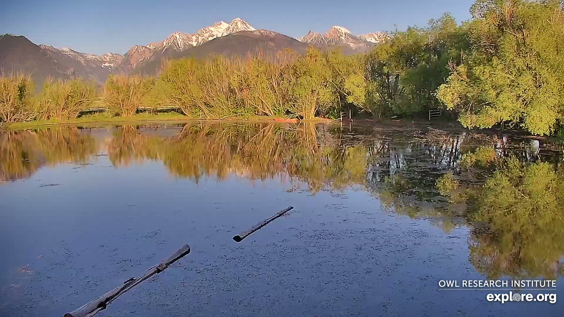 Mission Mountain Range & Mt Calowahcan View from Ninepipe Lodge Wildlife Refuge Live Cam - Charlo, Lake County, Montana, USA