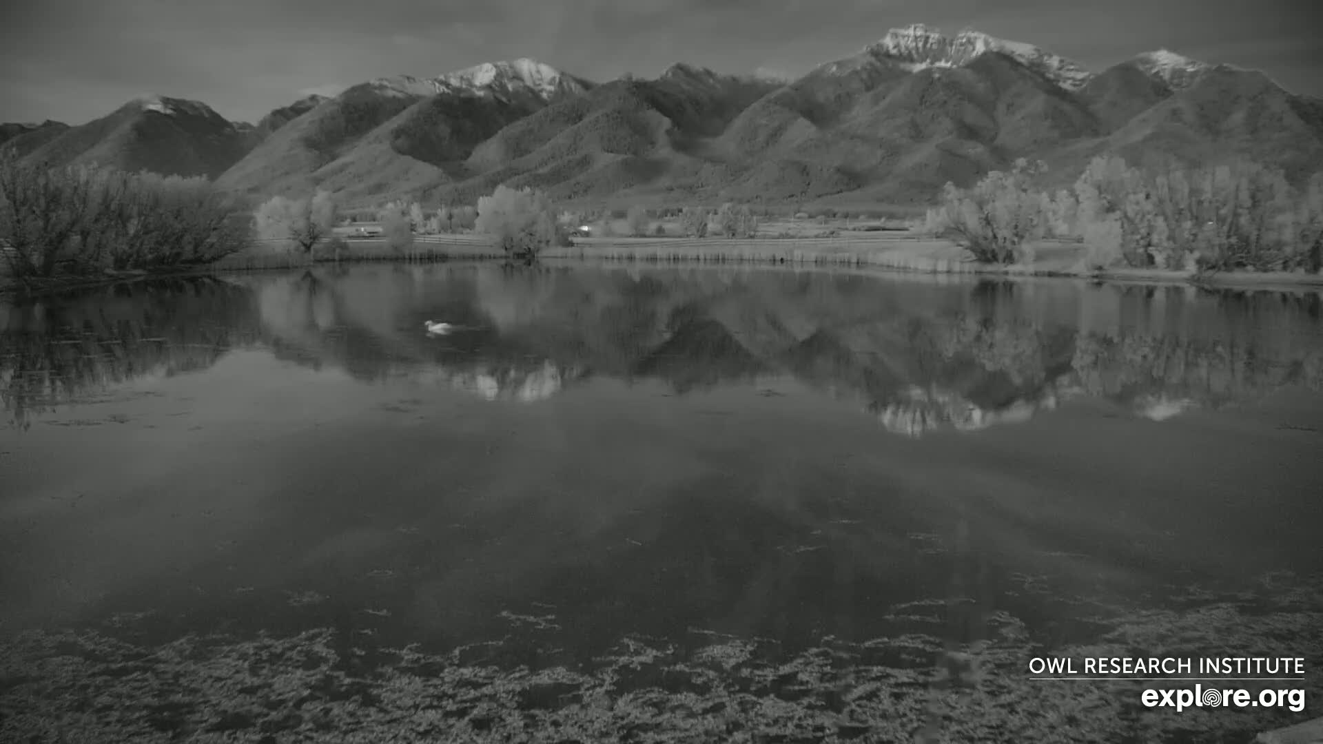 A calm body of water reflects snow-capped mountains and trees under a dusky sky.