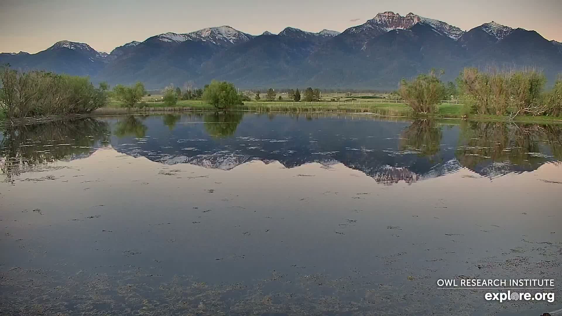 A calm pond reflects snow-capped mountains under a dusky sky.