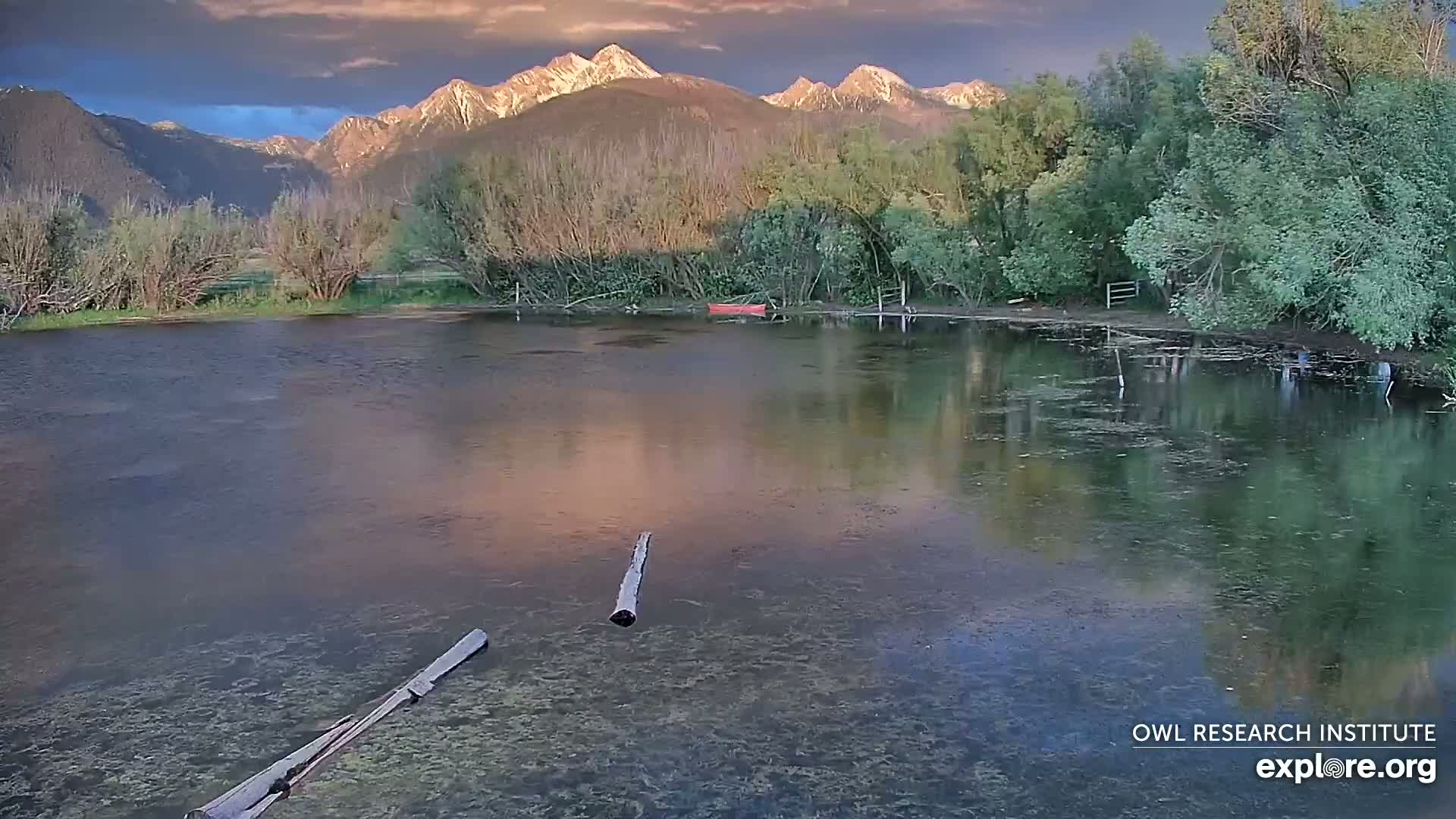 A calm pond reflecting the sunset's colors against a backdrop of mountains and lush greenery.