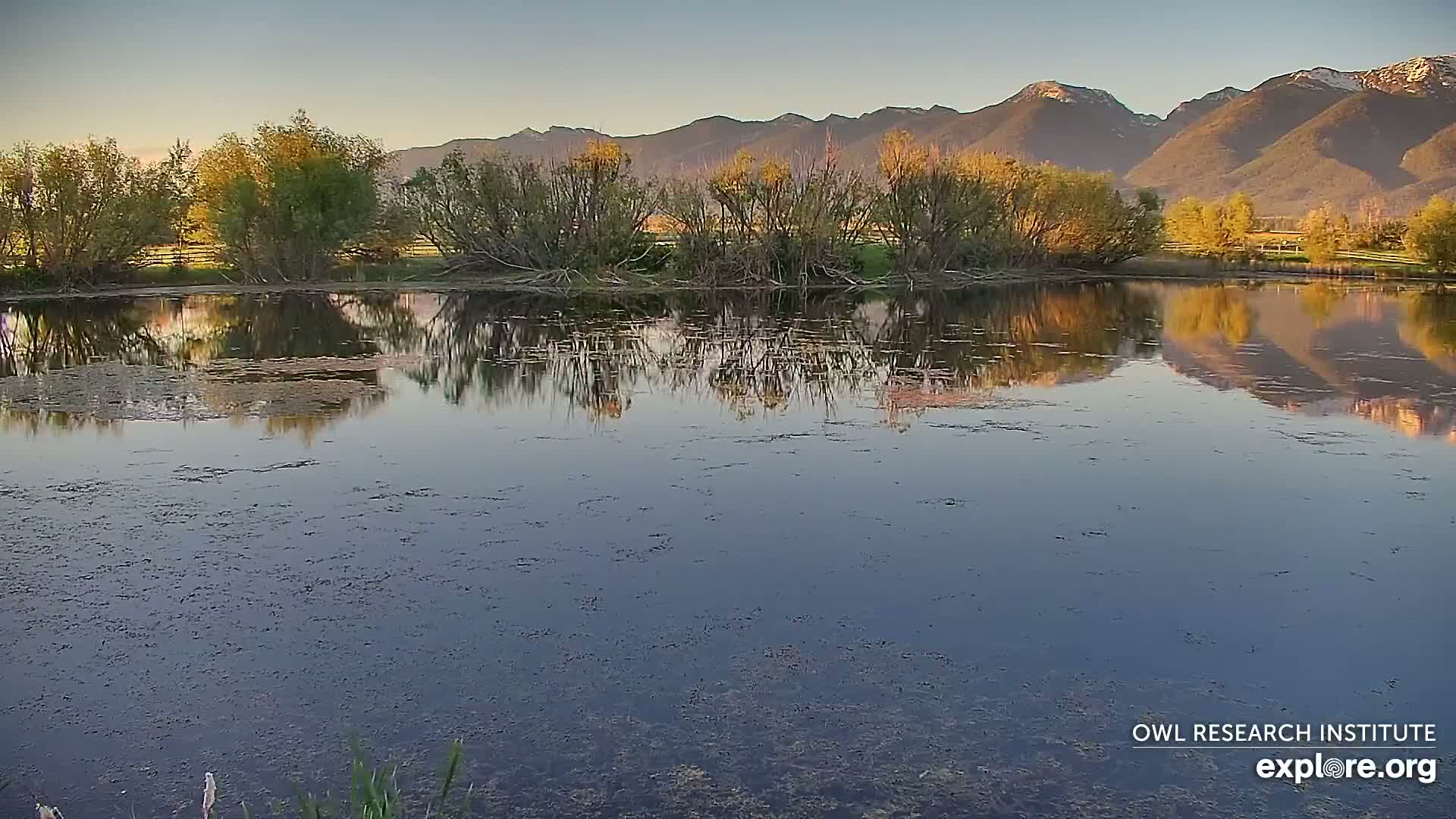 A calm pond reflects the golden light of sunset on the mountains and surrounding trees.