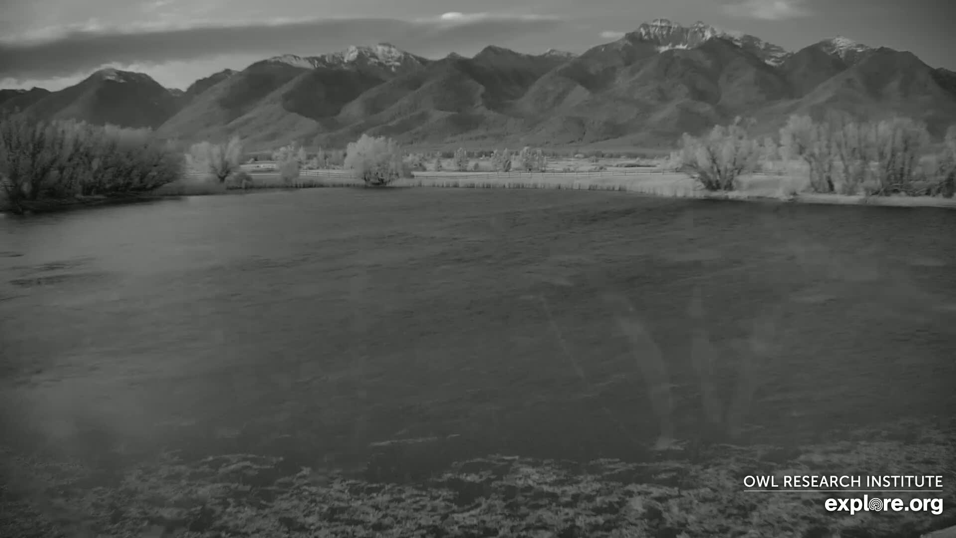Mission Mountain Range & Mt Calowahcan View from Ninepipe Lodge Wildlife Refuge Live Cam - Charlo, Lake County, Montana, USA