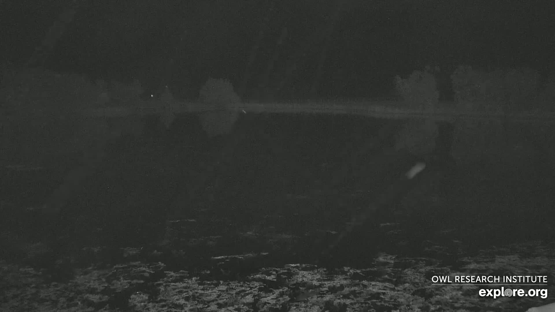 A dark, still body of water is seen under a nighttime sky with light snow falling.