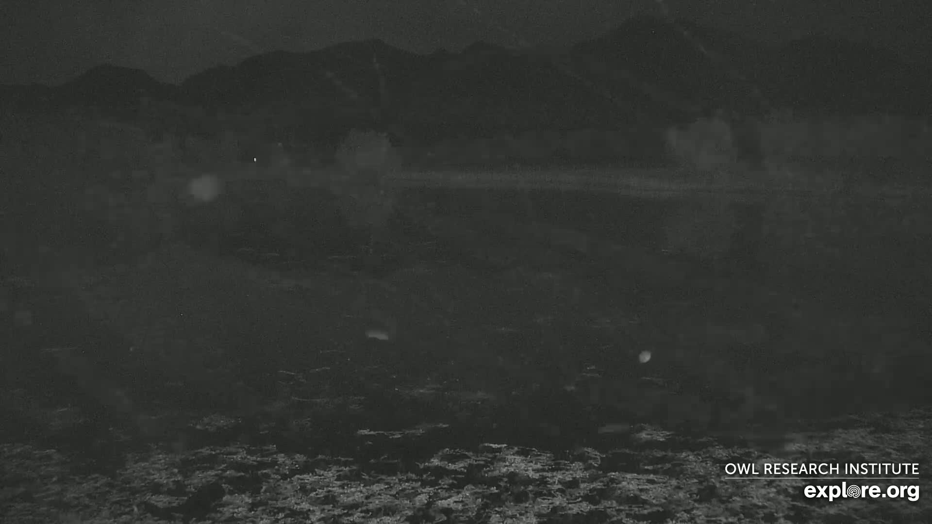 A dark, nighttime view of a body of water with a mountain range in the background under snowy conditions.