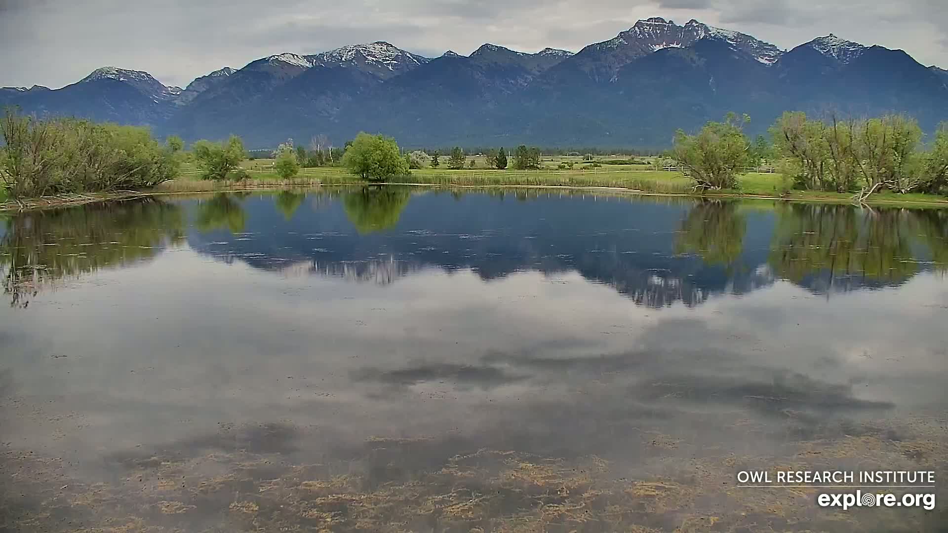 A calm pond reflects a cloudy sky and snow-capped mountains under an overcast sky.