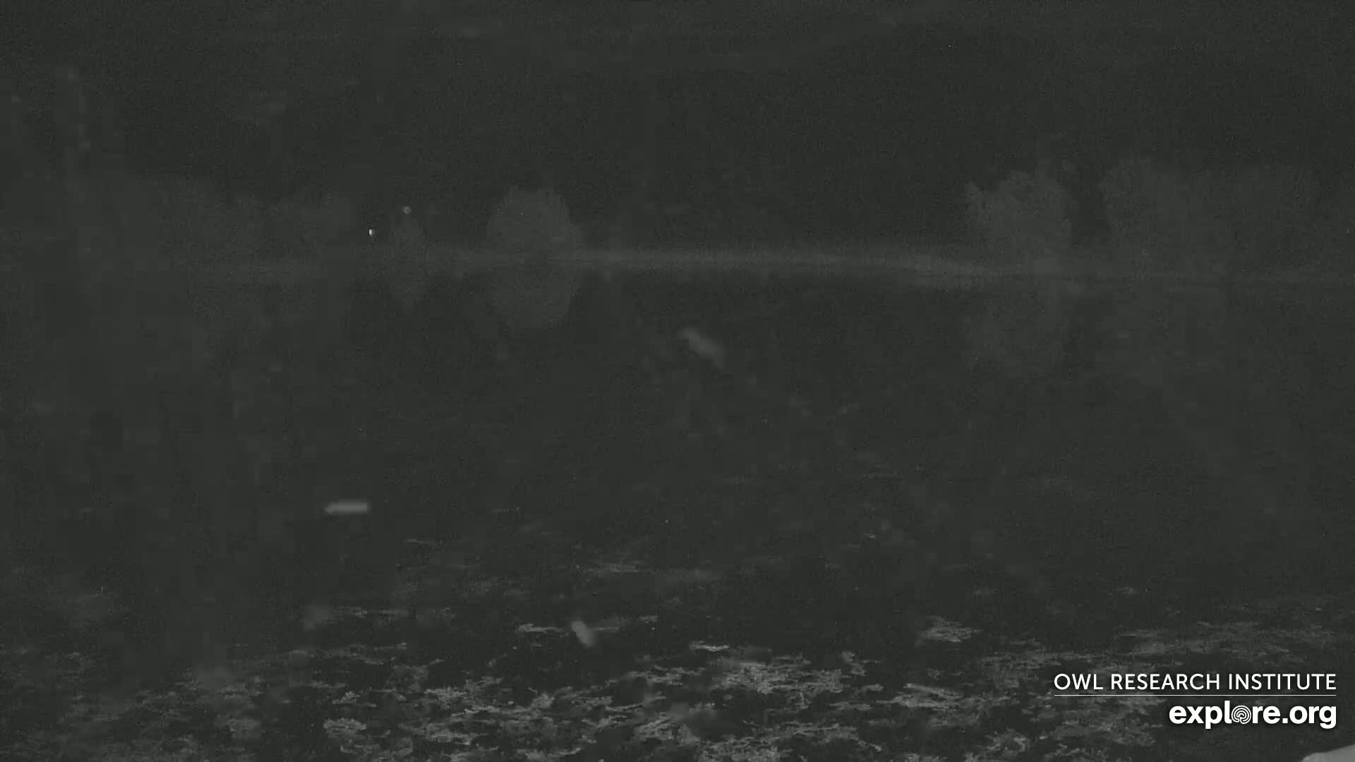 A dark, nighttime scene shows a body of water with a distant, indistinct shoreline under snowy conditions.